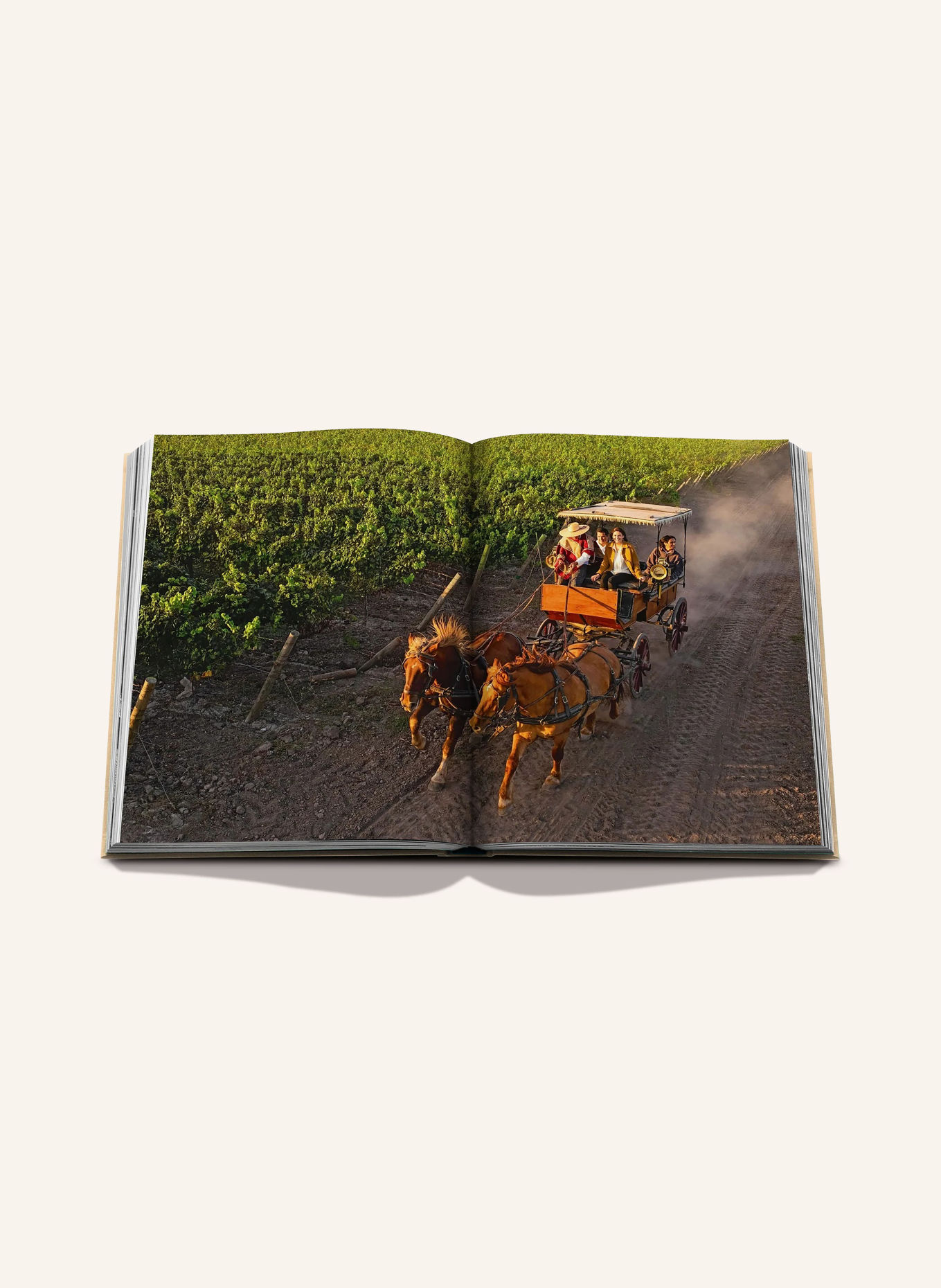 ASSOULINE Book: WINE AND TRAVEL LATIN AMERICA: BEIGE / TAUPE / BLACK