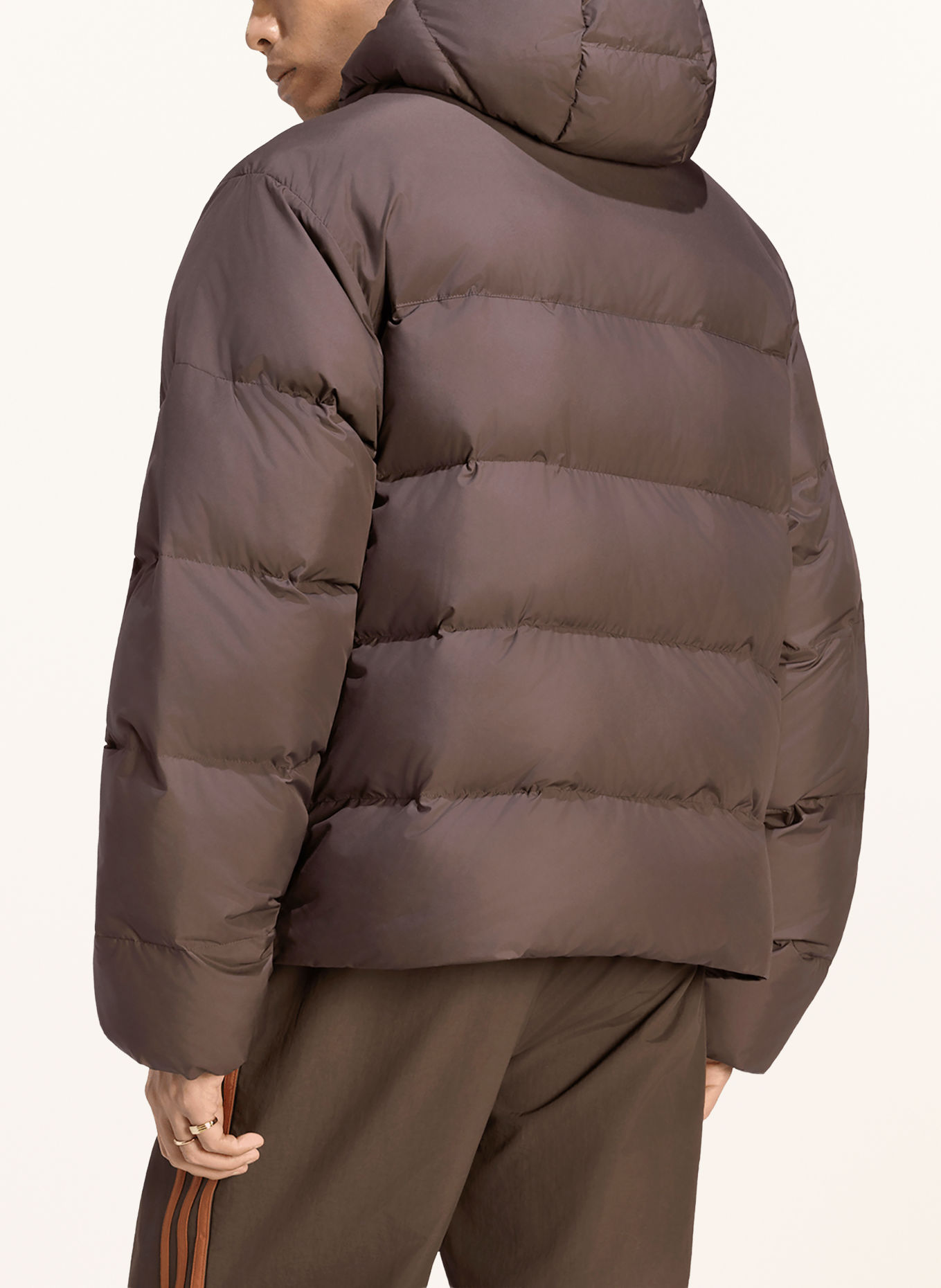 adidas Originals Veste matelassée: MARRON FONCÉ