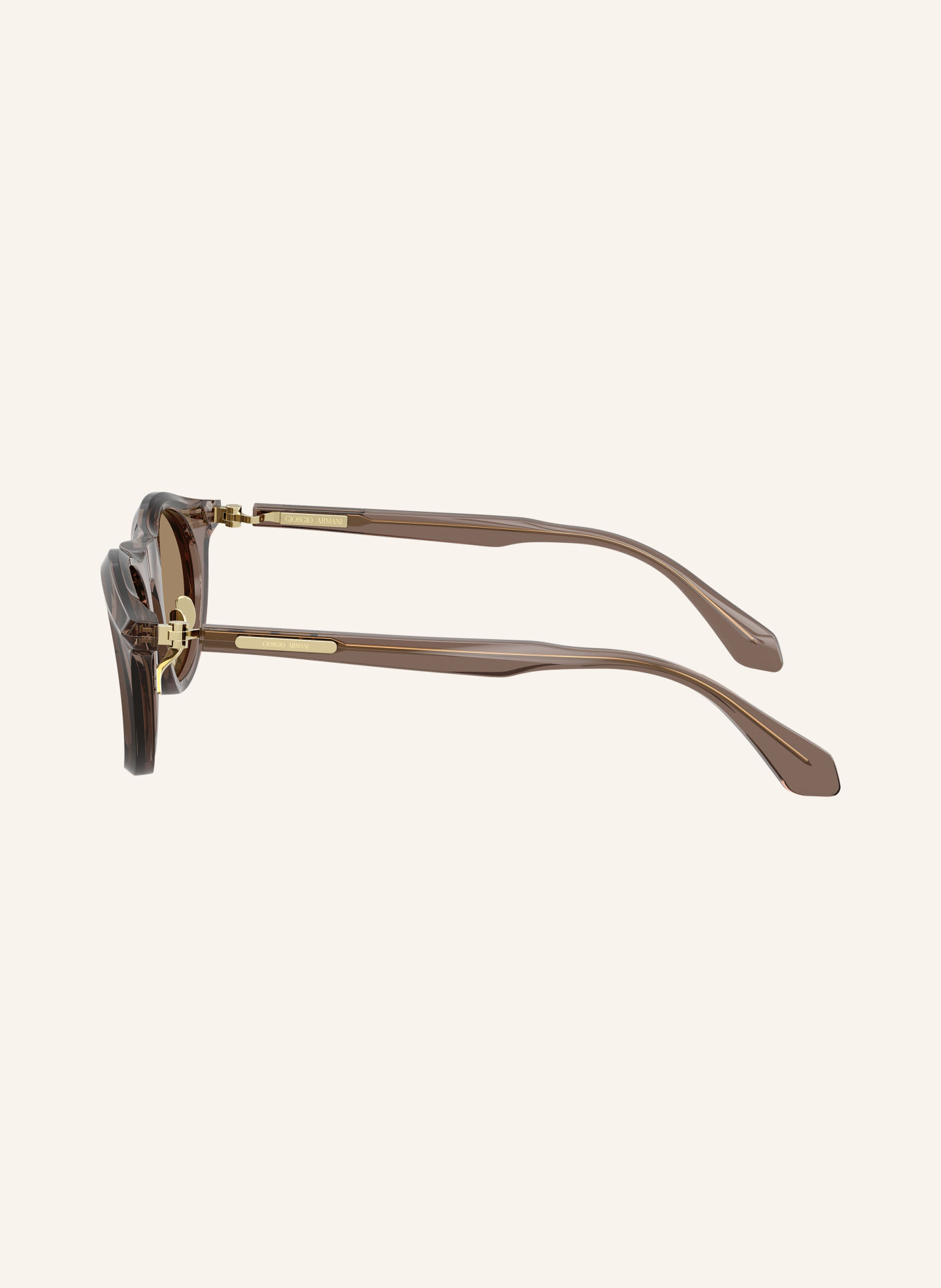 GIORGIO ARMANI Sonnenbrille AR8258: TRANSPARENT BROWN/ BROWN