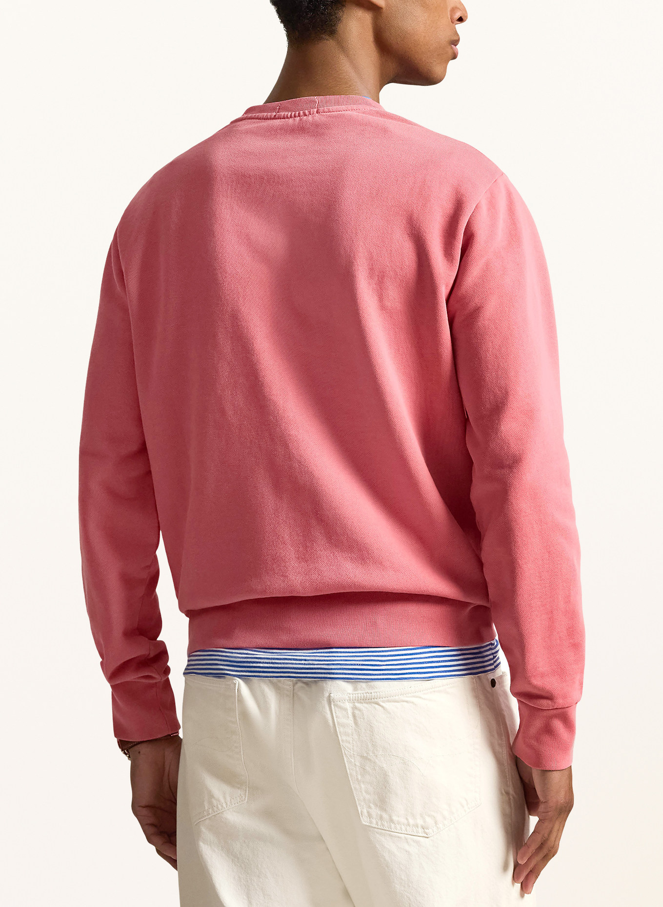 POLO RALPH LAUREN Sweatshirt: HELLROT / WEISS