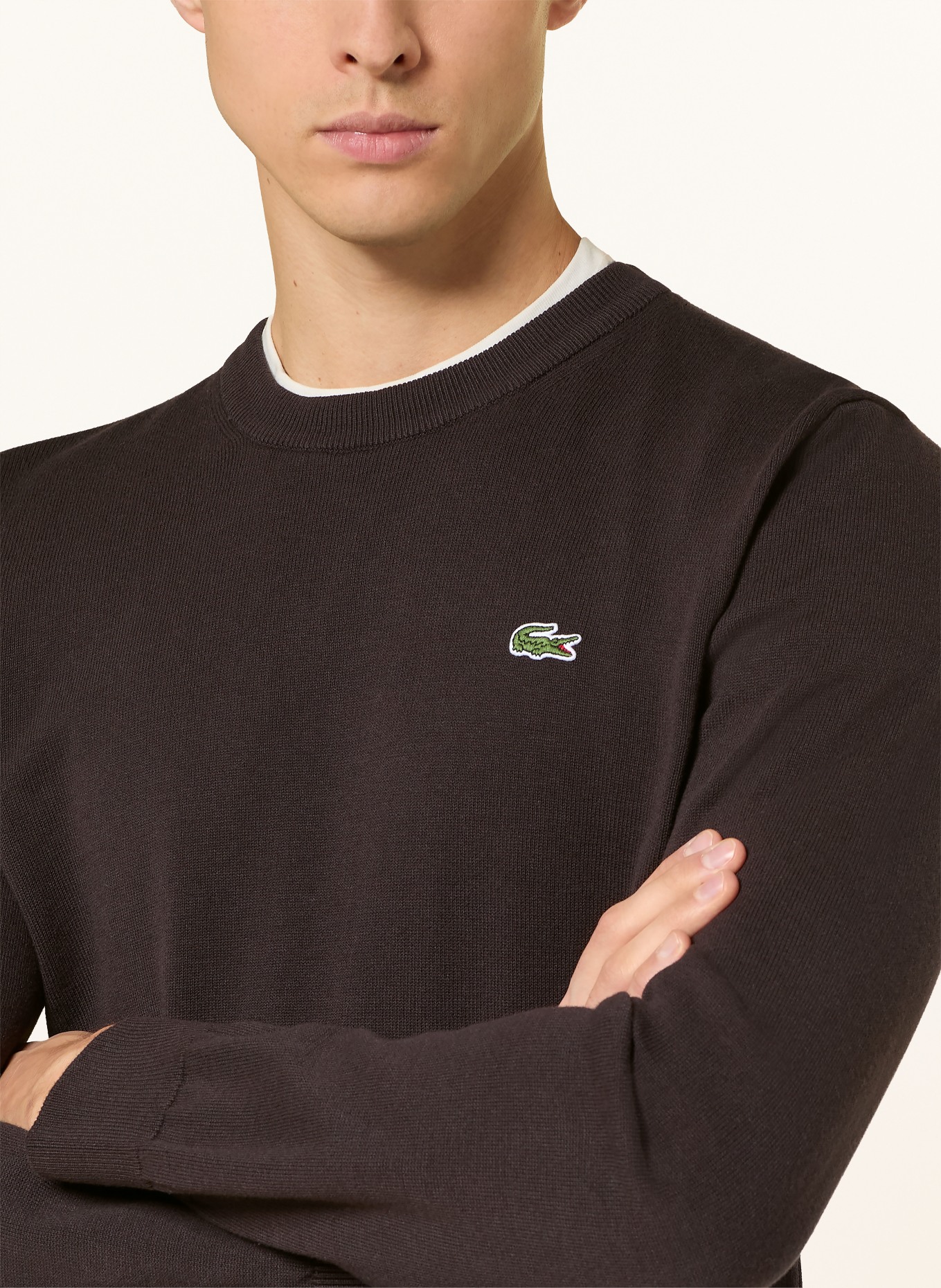 LACOSTE Pullover: SCHWARZ
