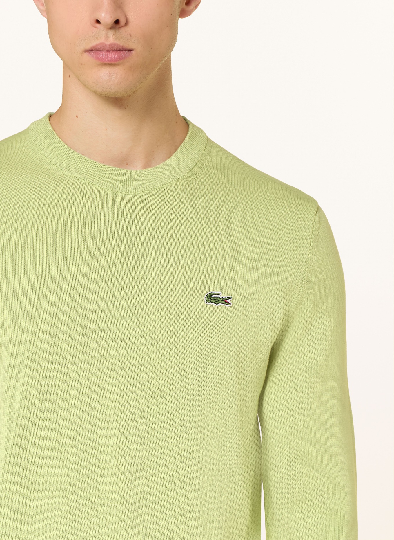 LACOSTE Pullover: HELLGRÜN