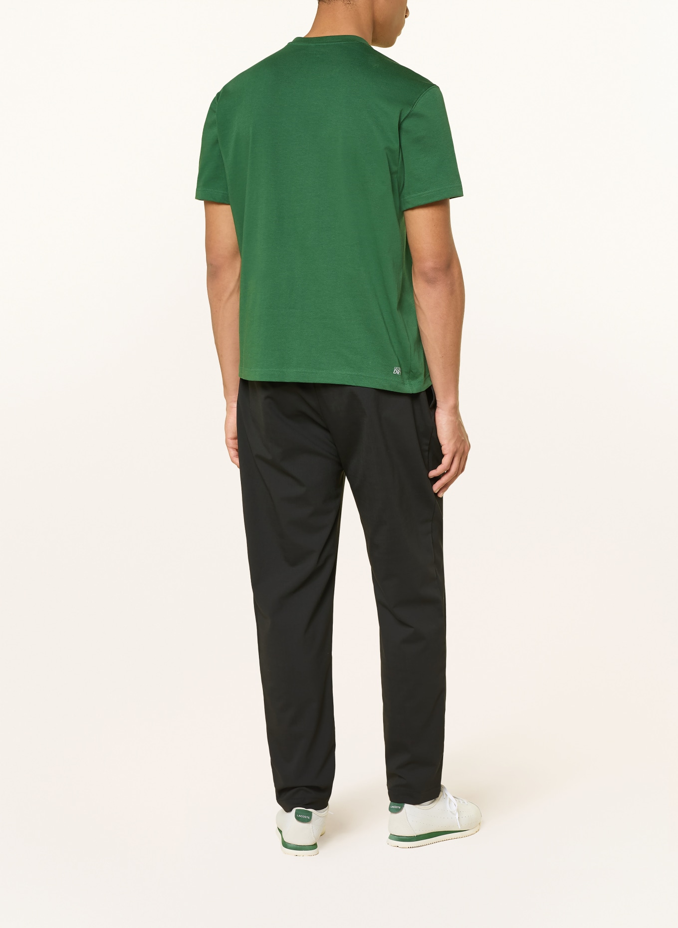 LACOSTE T-Shirt: GRÜN