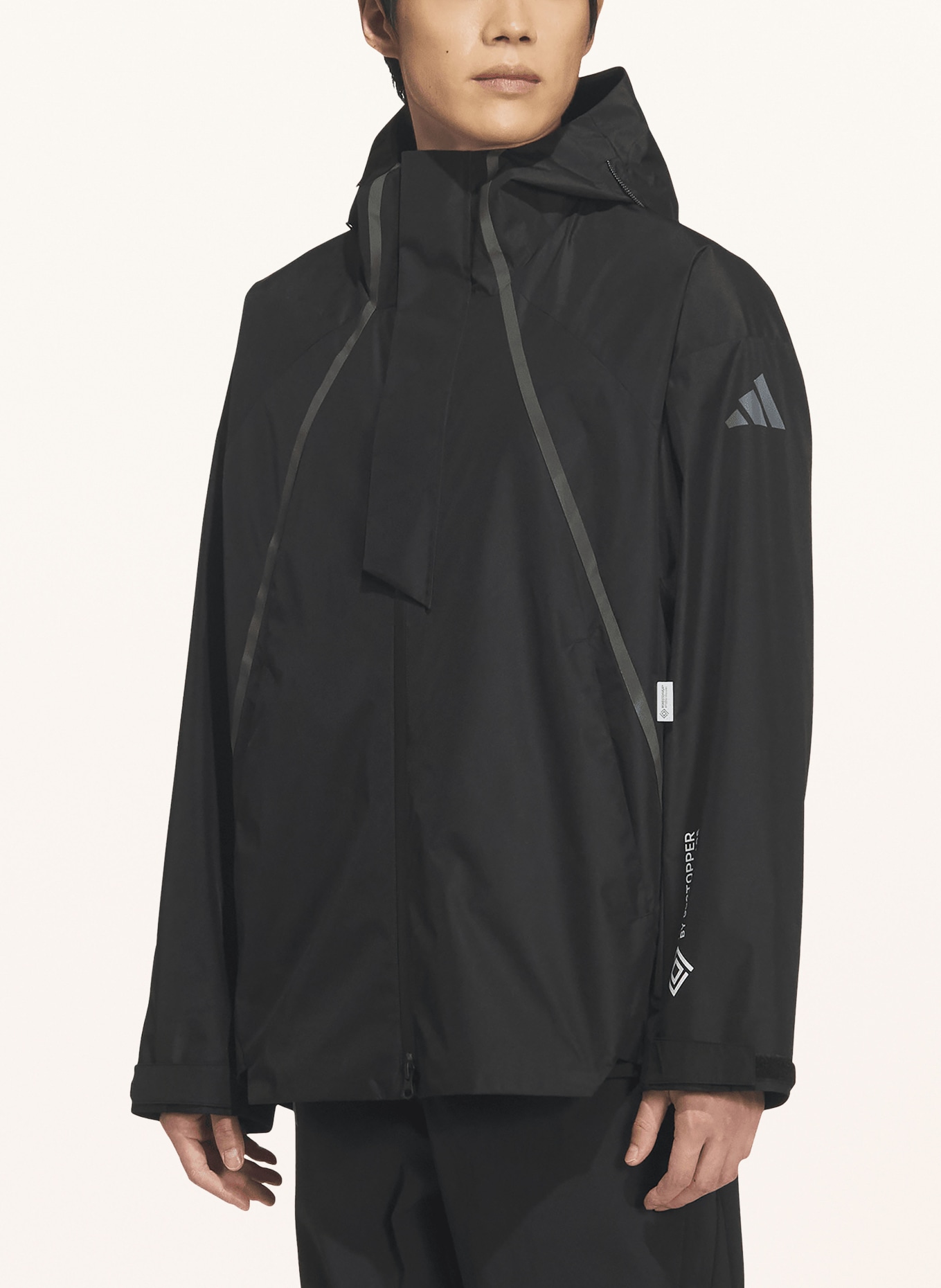 adidas TERREX XPLORIC GTX functional jacket: BLACK / DARK GRAY