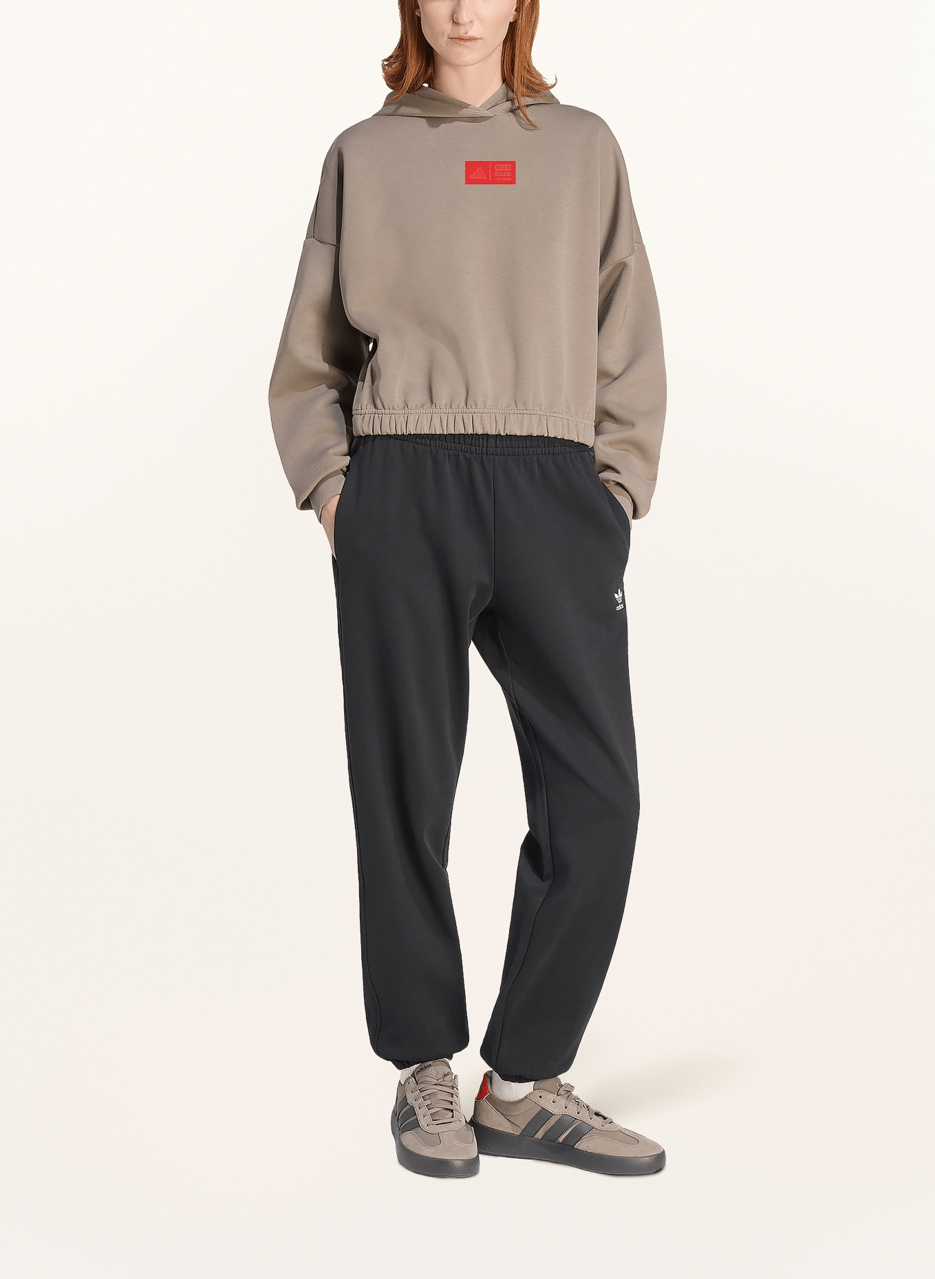 adidas Sweat à capuche AUDI FORMULA ONE TEAM ELEVATED: TAUPE