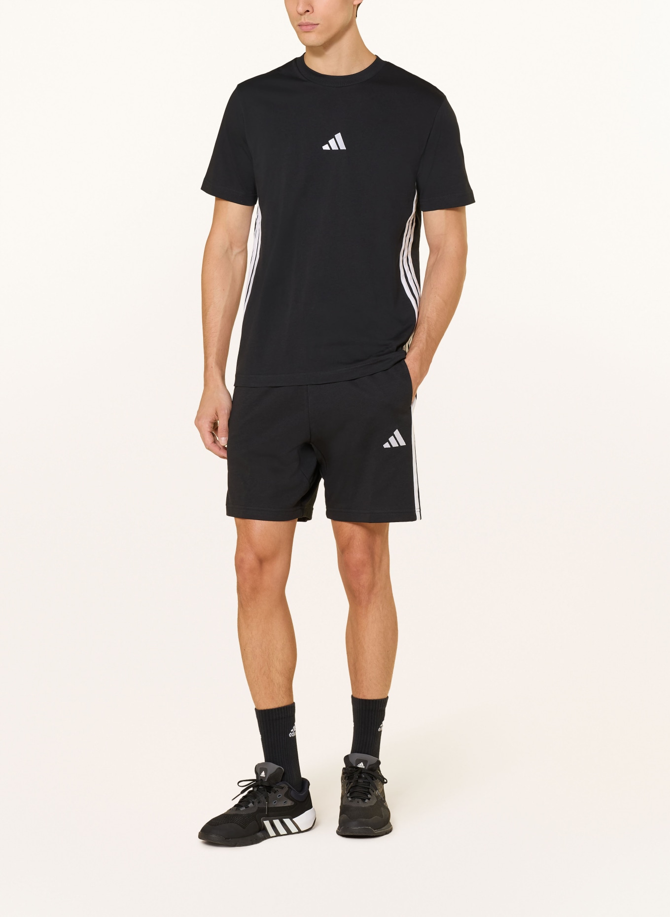 adidas Sweatshorts: SCHWARZ / WEISS