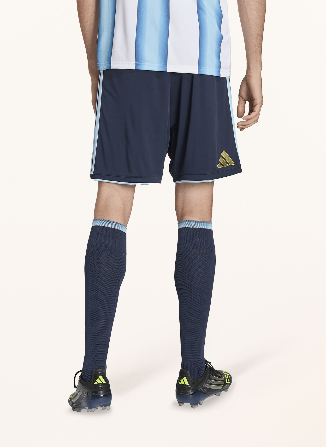 adidas Heimtrikothose ARGENTINIA 26 für Herren: DUNKELBLAU / HELLBLAU