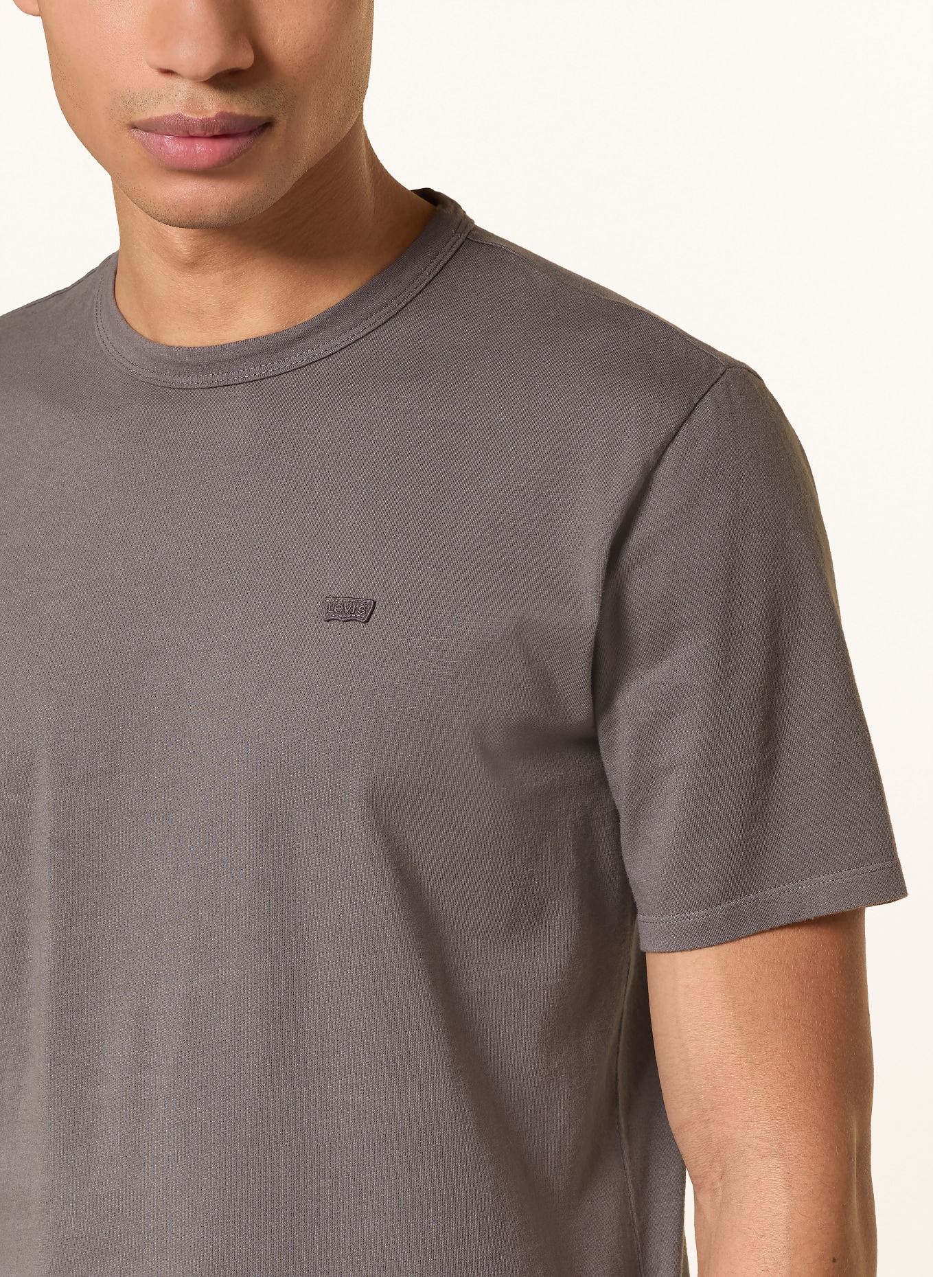 Levi's® T-Shirt: DUNKELGRAU