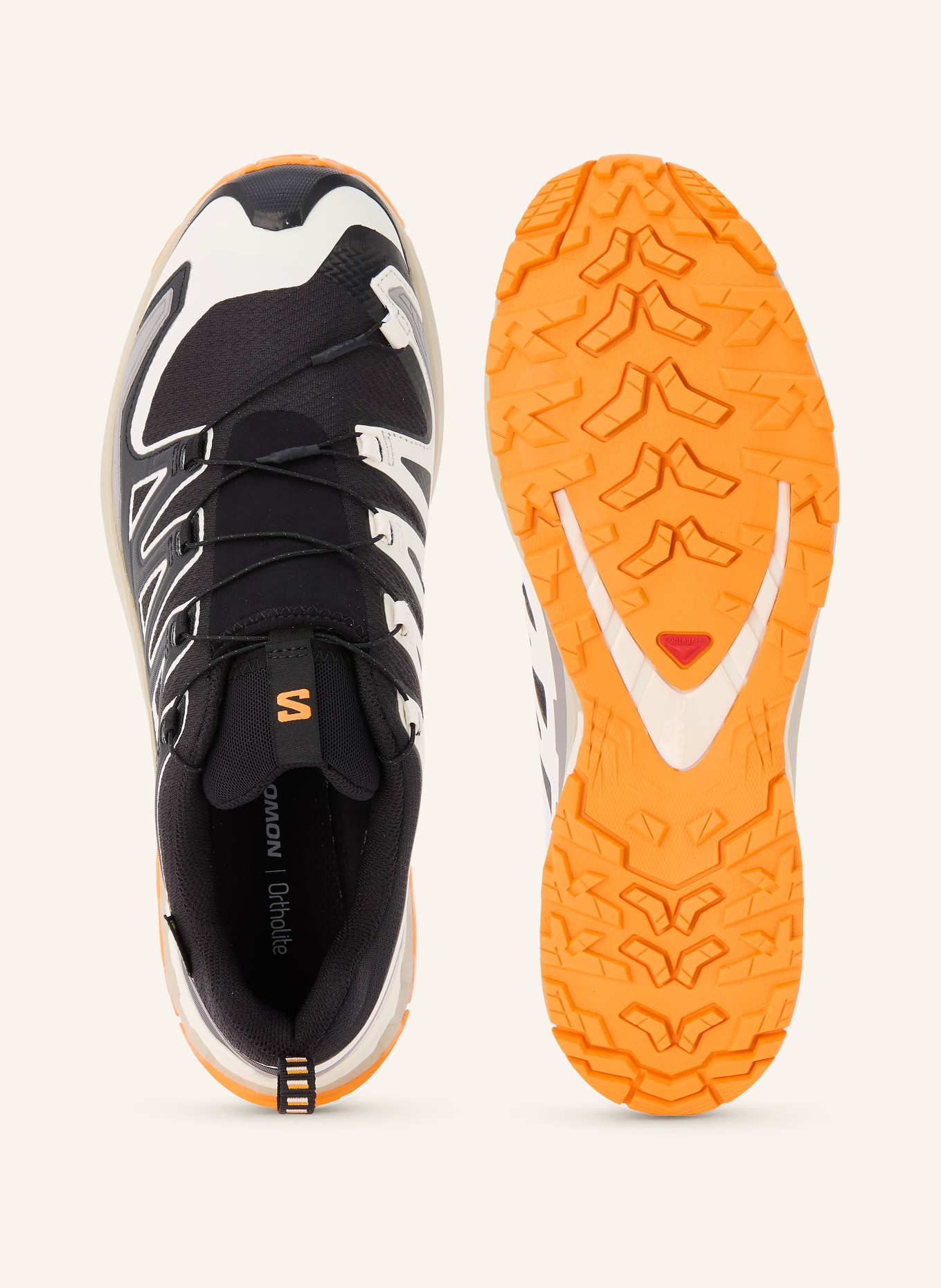 SALOMON XA PRO 3D V9 GTX hiking boots: BLACK / ECRU / WHITE