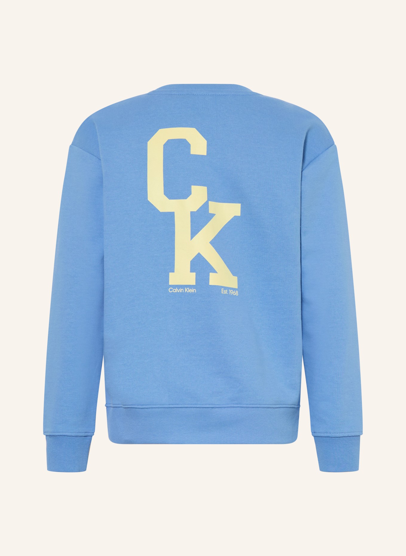 Calvin Klein Sweatshirt: HELLBLAU