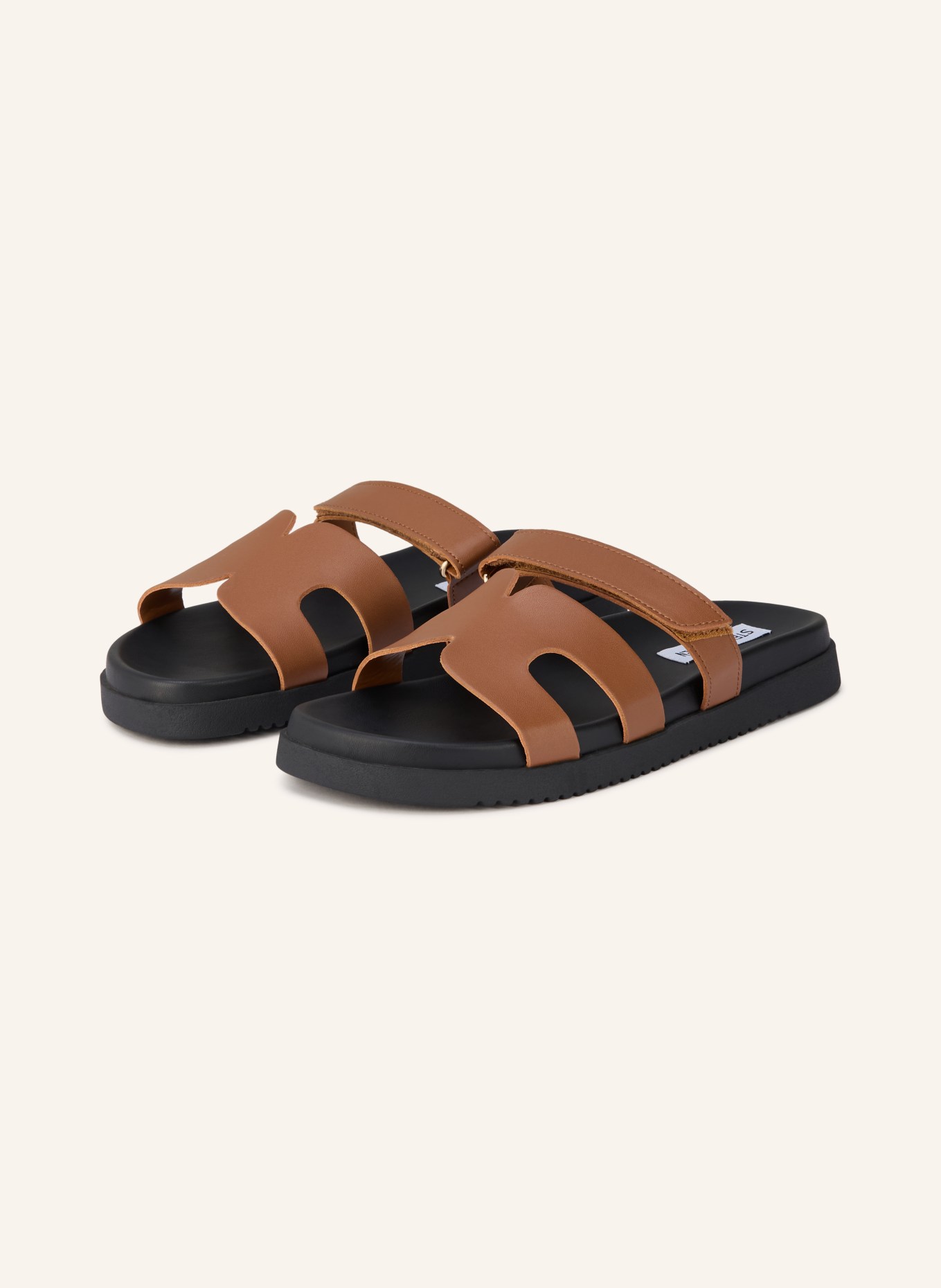 STEVE MADDEN MISSILE mules: BROWN / BLACK