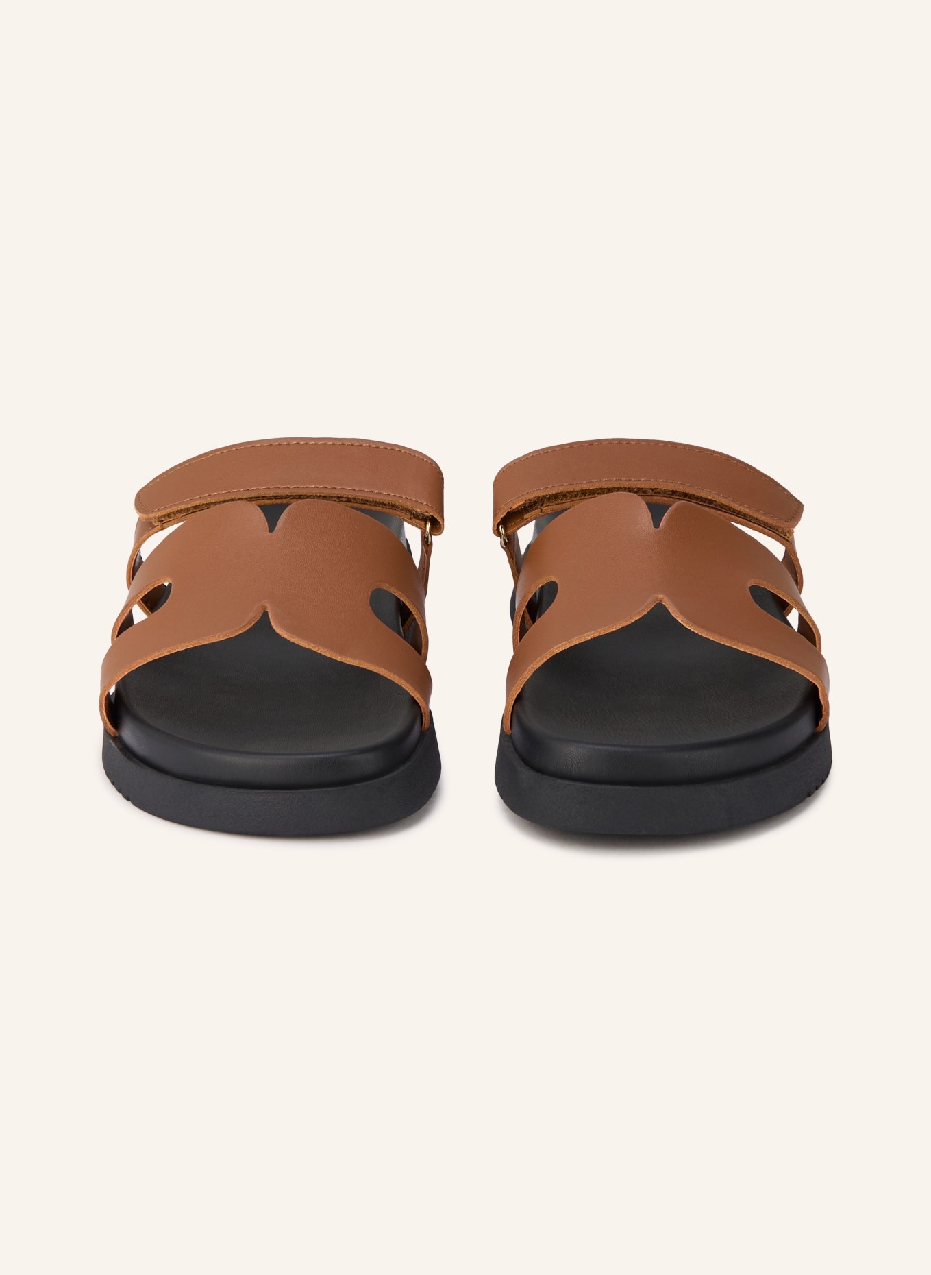 STEVE MADDEN MISSILE mules: BROWN / BLACK