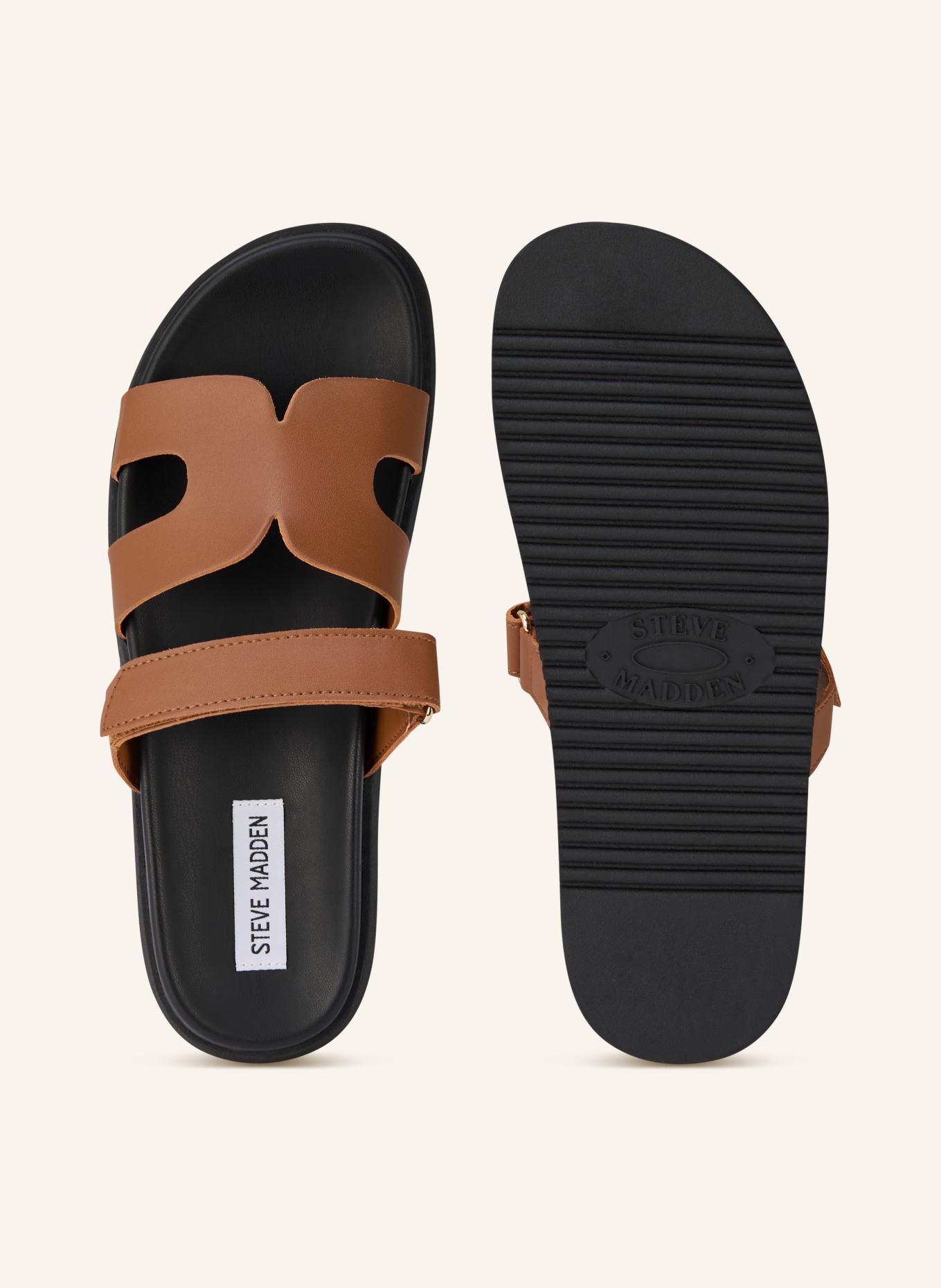 STEVE MADDEN MISSILE mules: BROWN / BLACK