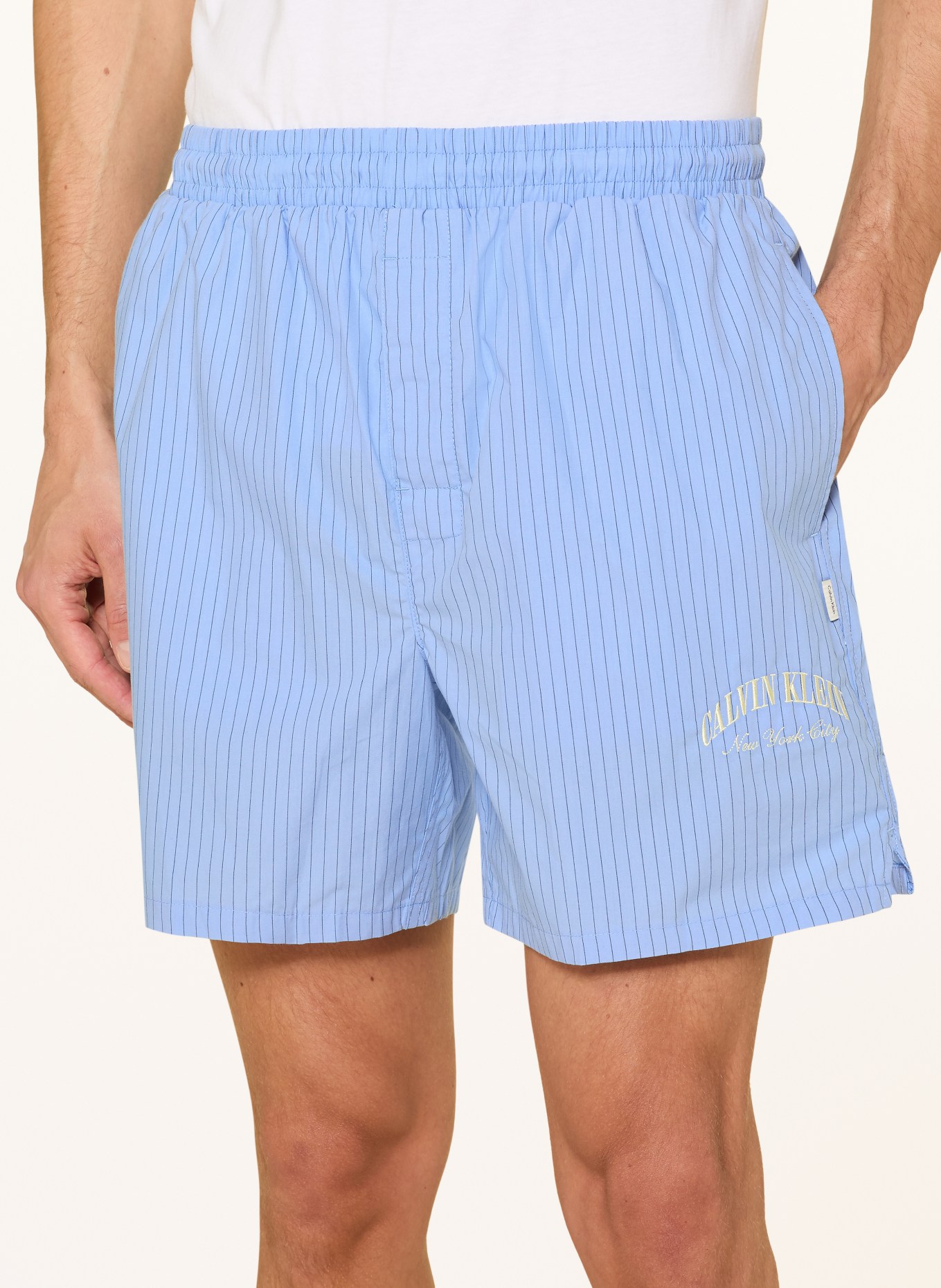 Calvin Klein Pyjama shorty: BLANC / BLEU CLAIR