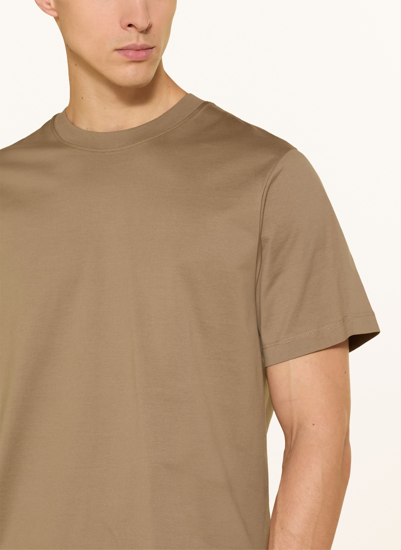 seidensticker T-Shirt: BRAUN