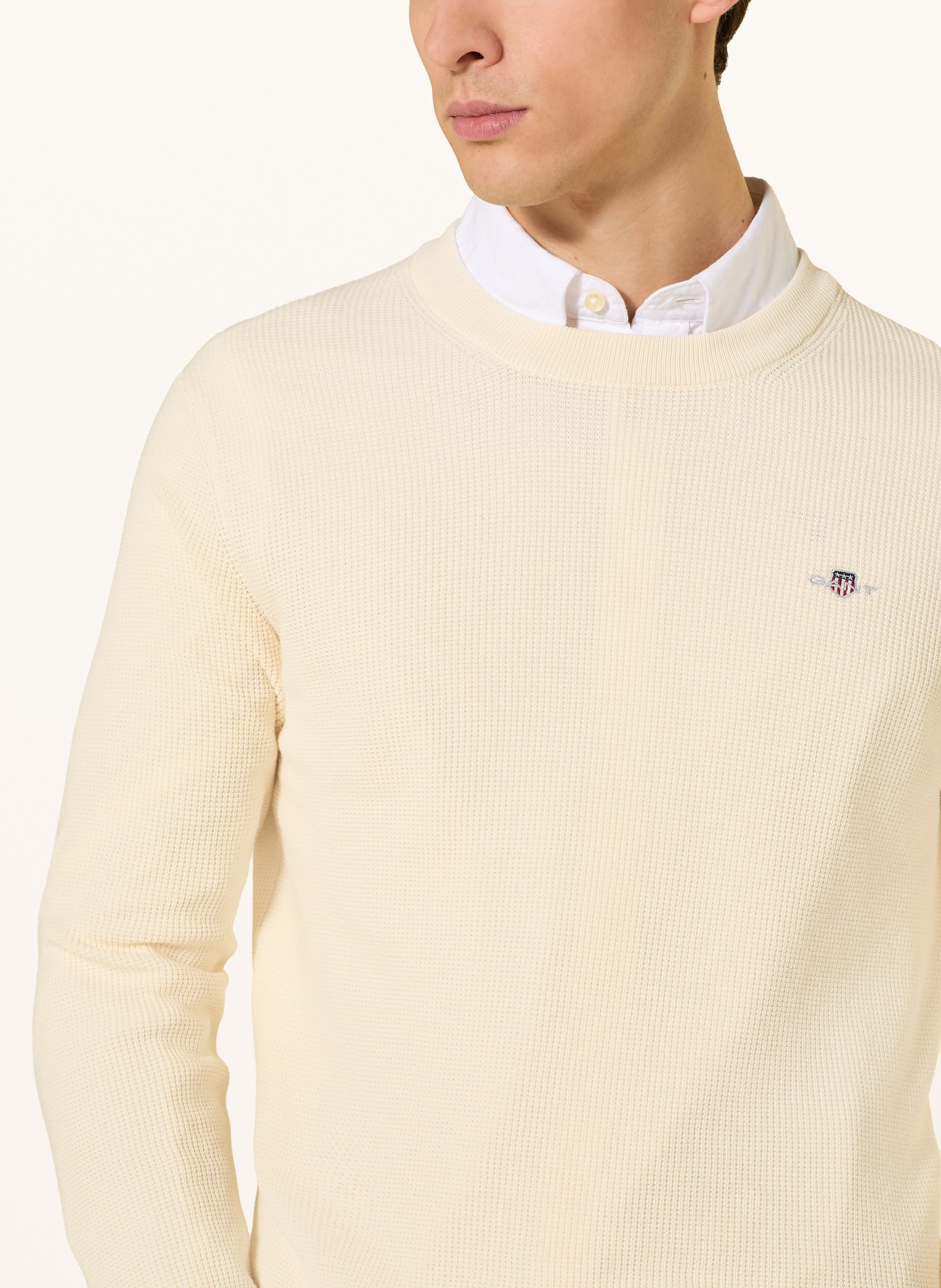 GANT Pullover: CREME