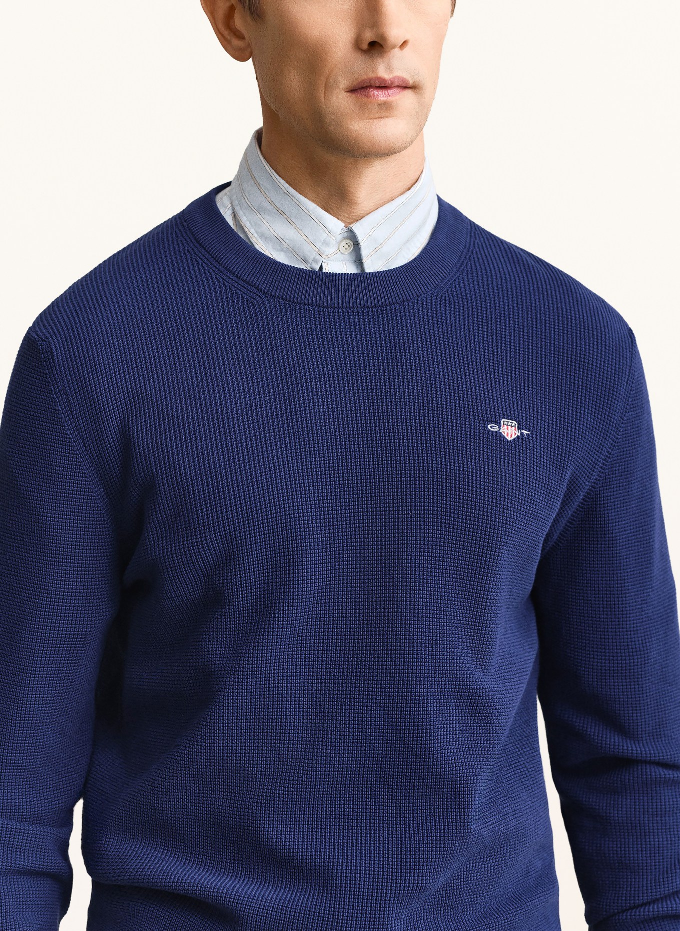 GANT Pullover: BLAU