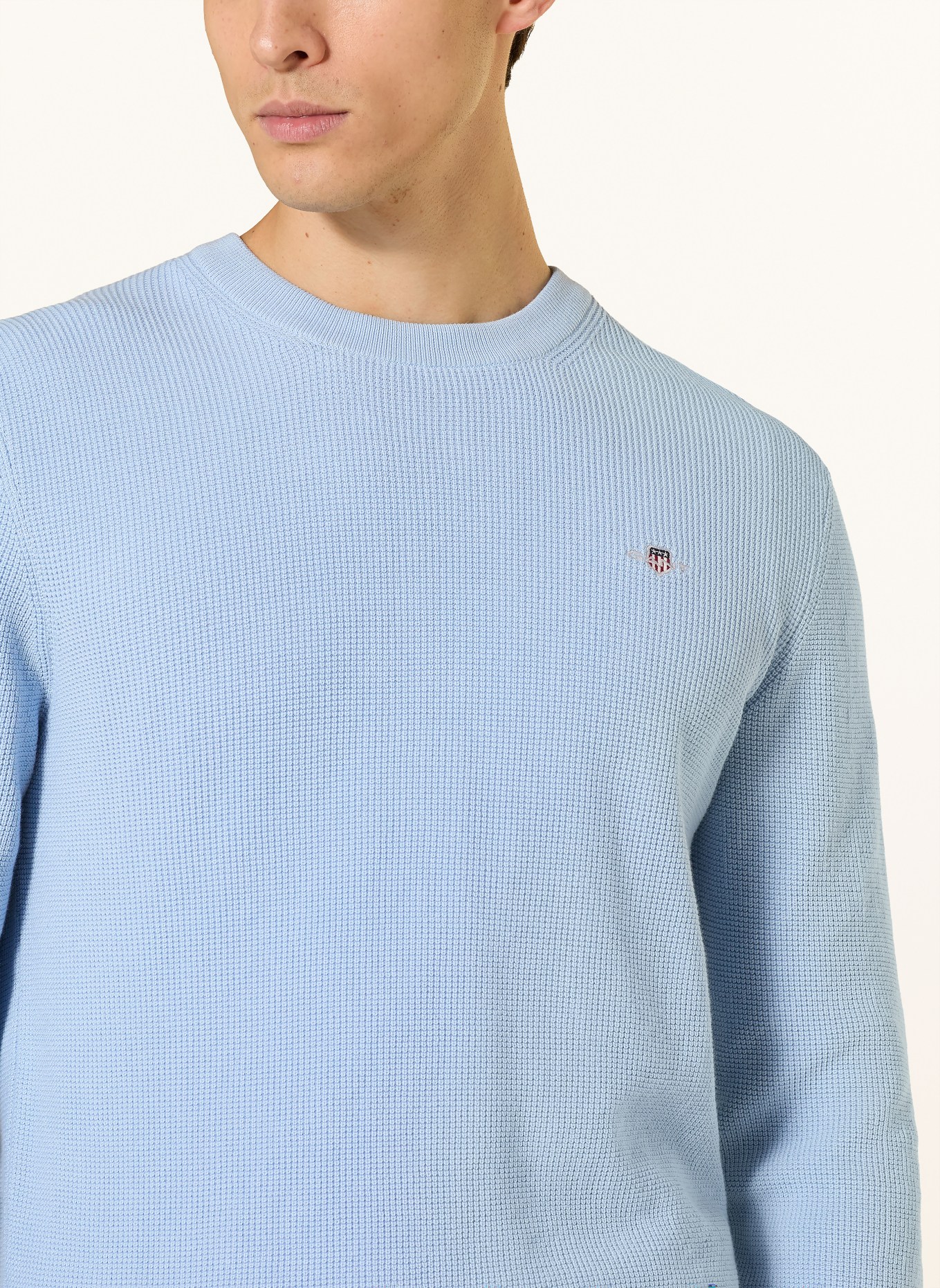 GANT Pullover: HELLBLAU