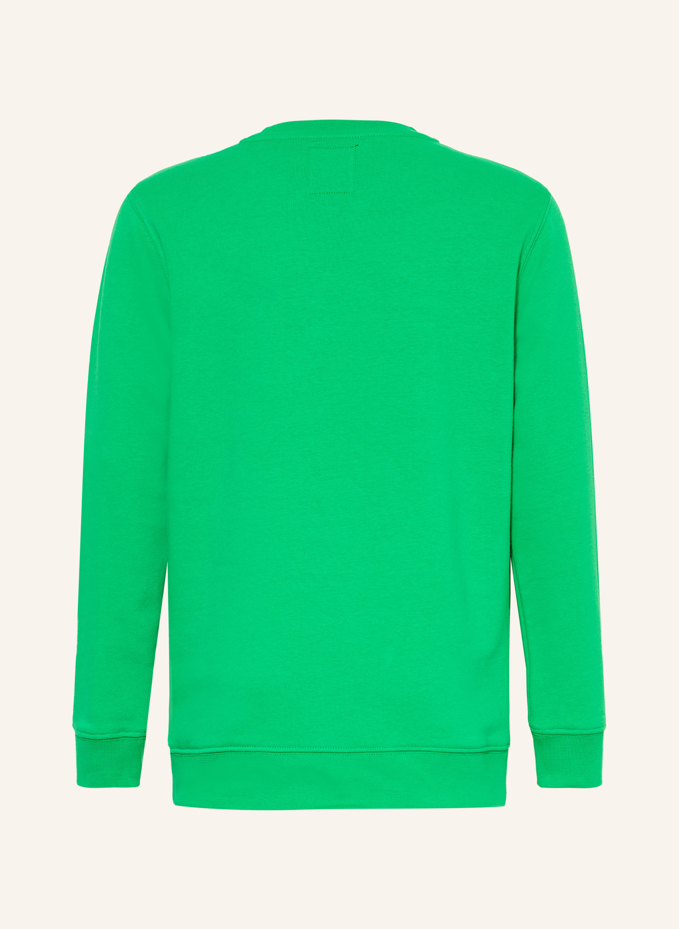 VANS Sweatshirt: GRÜN / WEISS