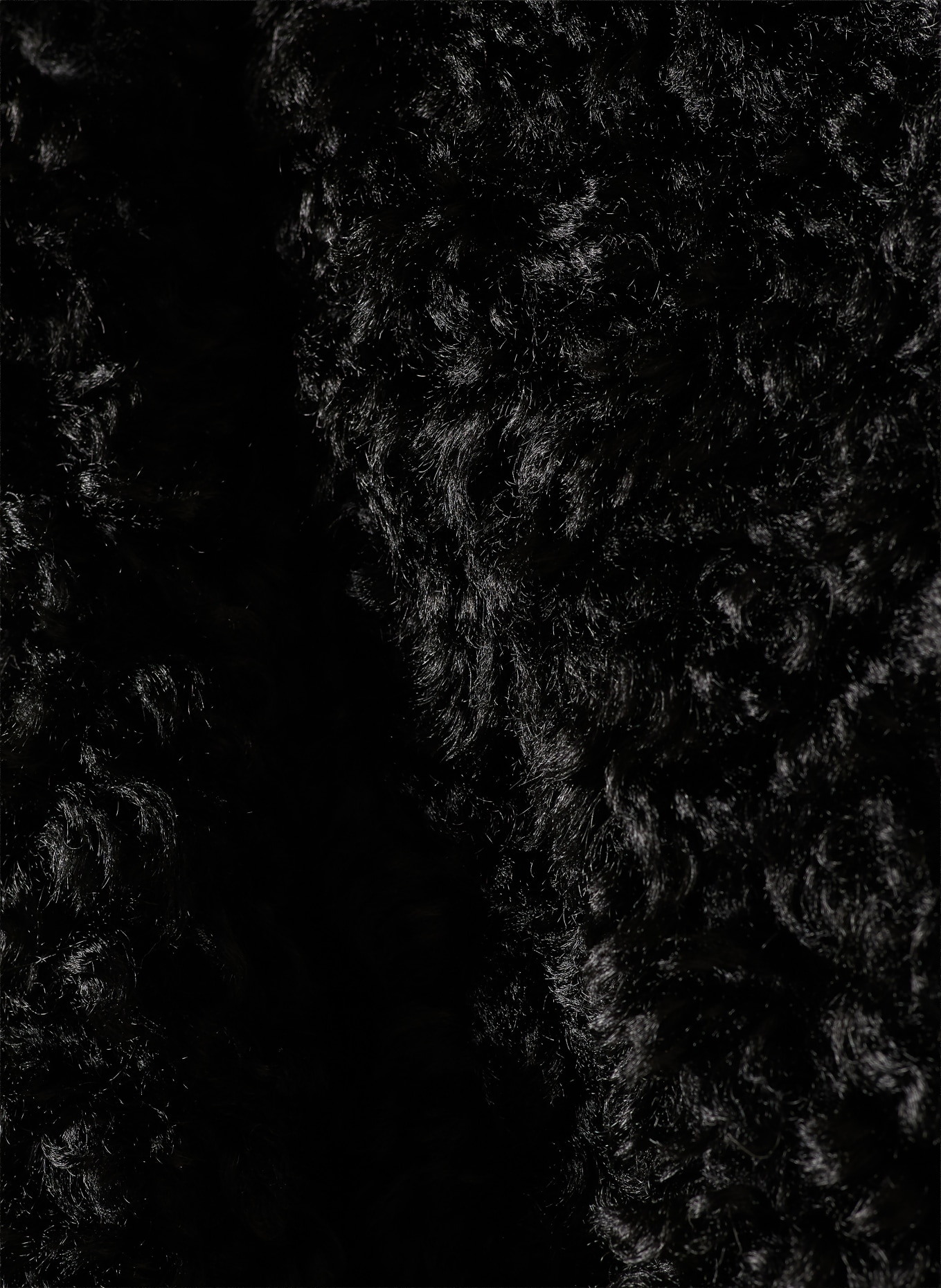 The Frankie Shop Manteau en fourrure synthétique RAVELLO: NOIR