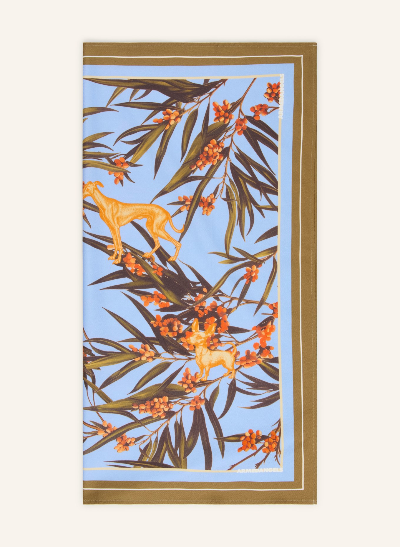 ARMEDANGELS Tuch: HELLBLAU / ORANGE / OLIV