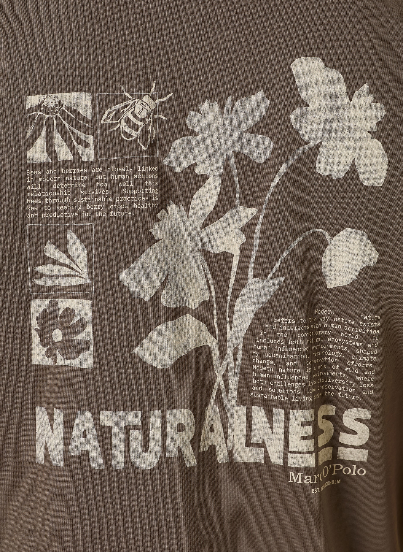 Marc O'Polo T-Shirt: DUNKELBRAUN / CREME