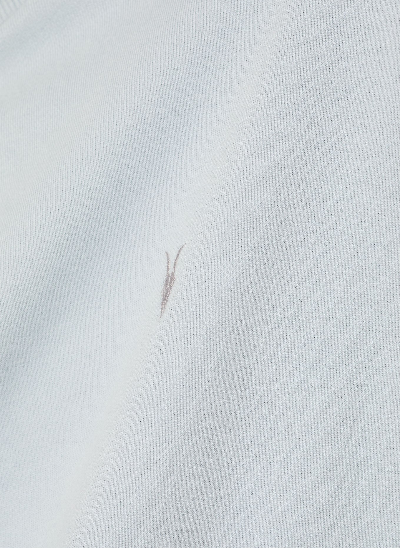 ALLSAINTS ASHER sweatshirt: LIGHT BLUE