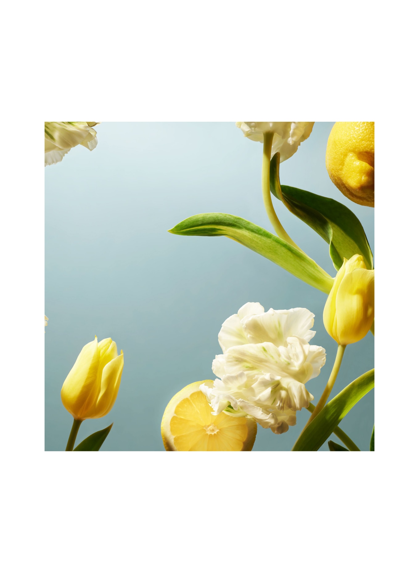 RITUALS AMSTERDAM COLLECTION