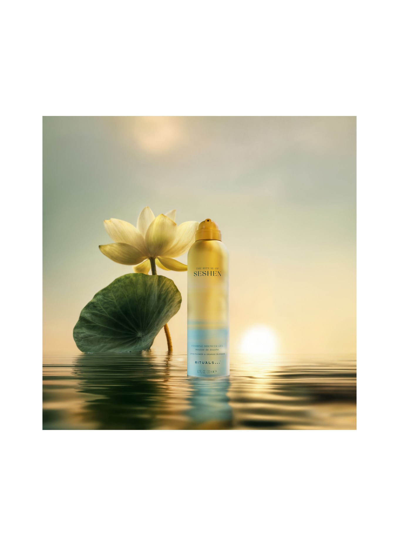 RITUALS THE RITUAL OF SESHEN