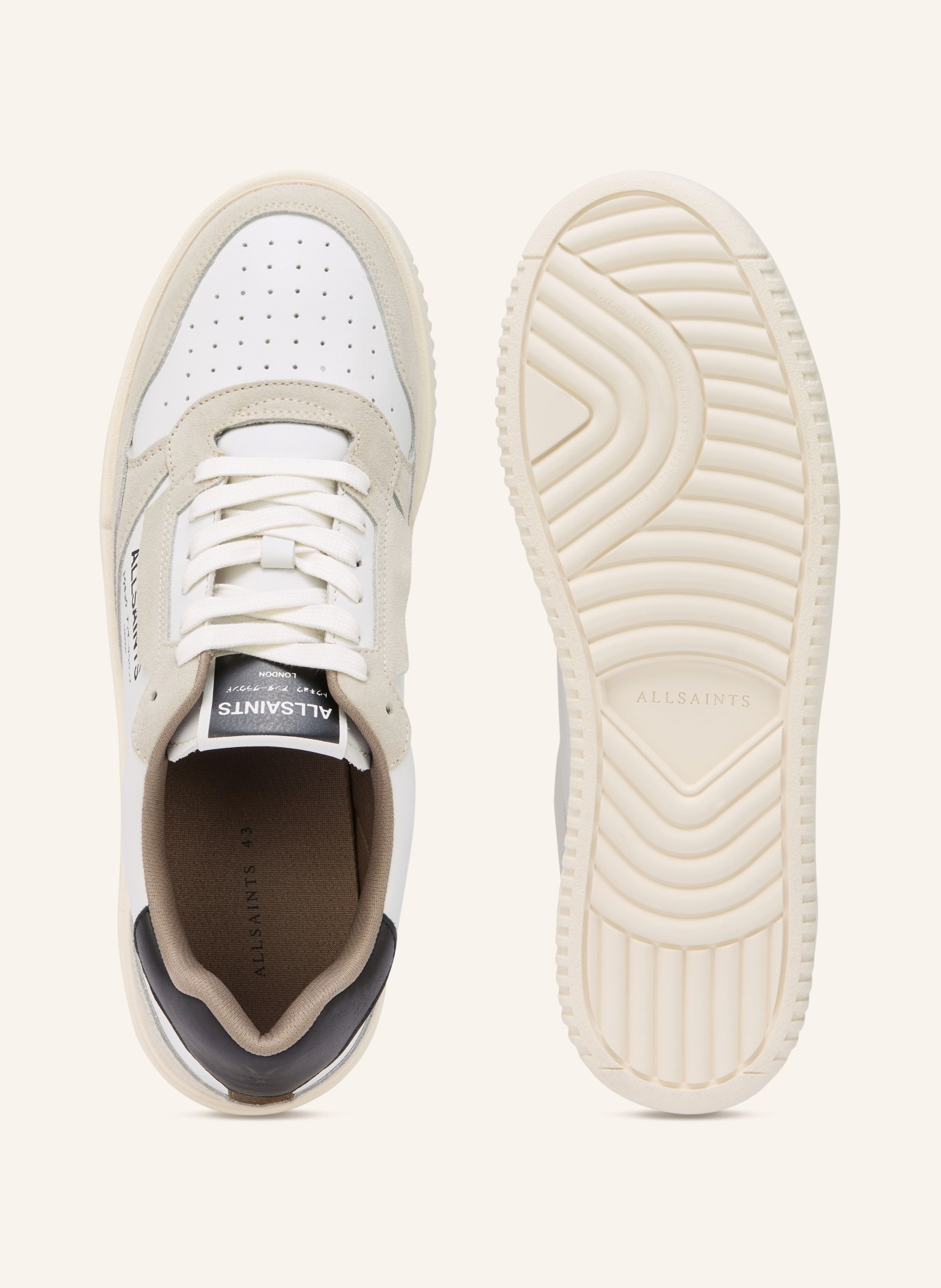 ALLSAINTS REGAN sneaker: WHITE / CREAM / BLACK