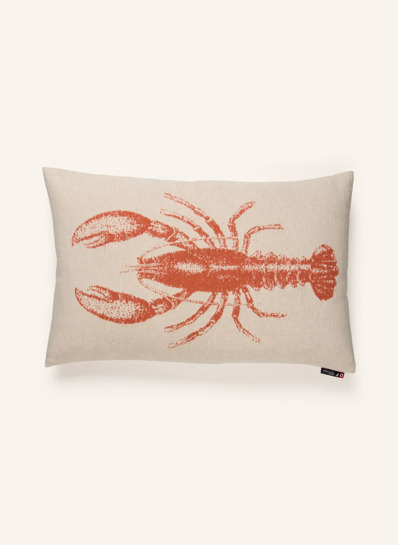 David Fussenegger Decorative pillowcase NOVA: CREAM / DARK ORANGE