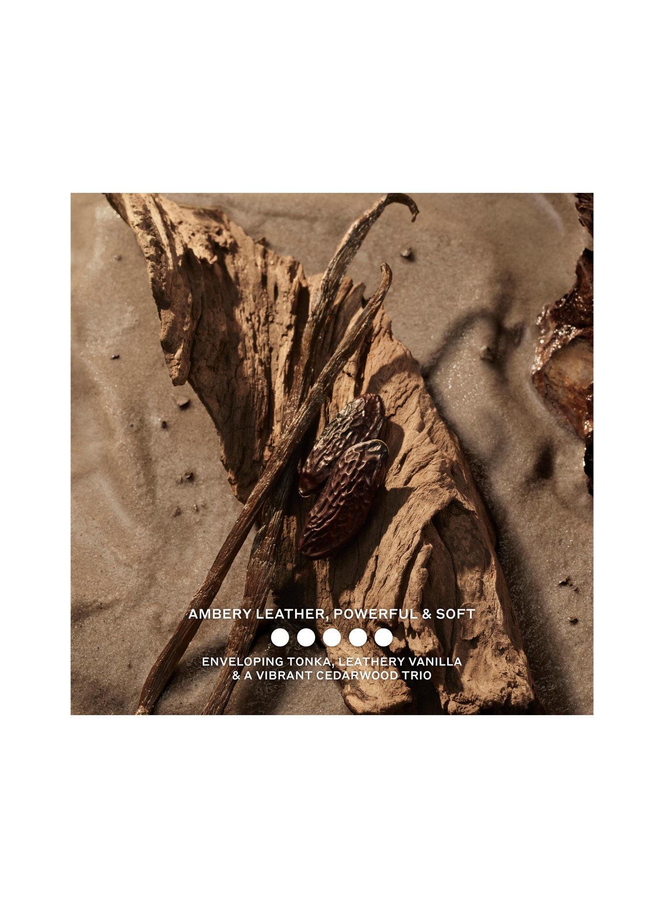 BURBERRY BEAUTY HERO