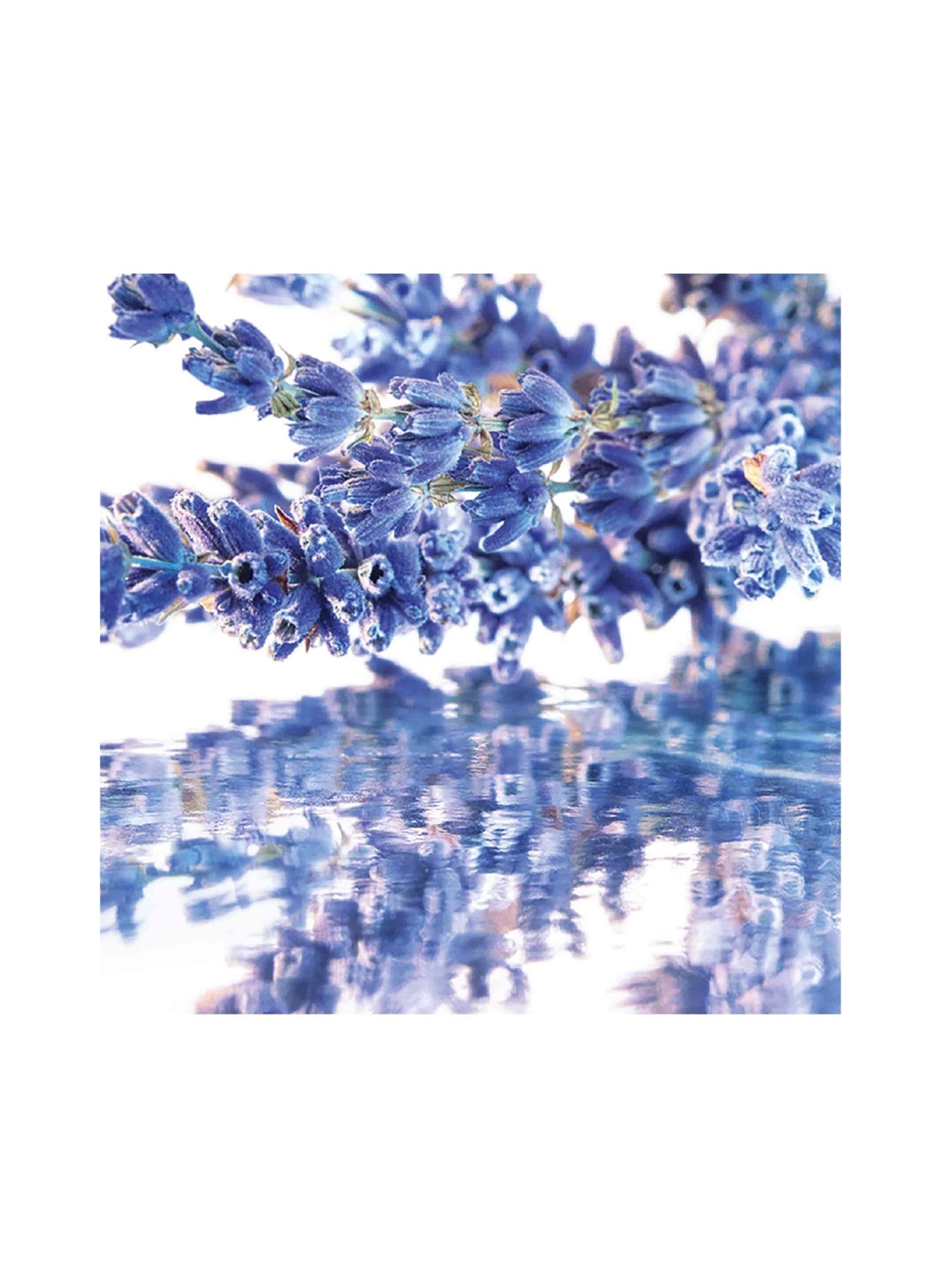 GUERLAIN MON GUERLAIN