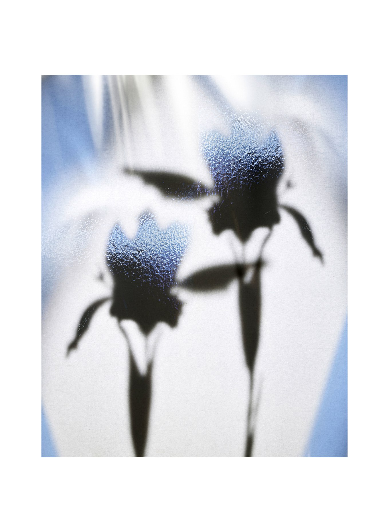 Brioni Fragrances EXQUIS