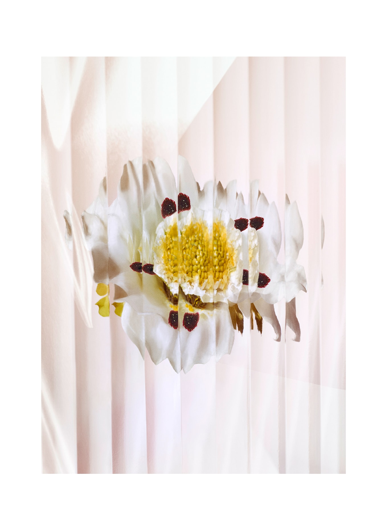 Brioni Fragrances LABDANUM BRUT