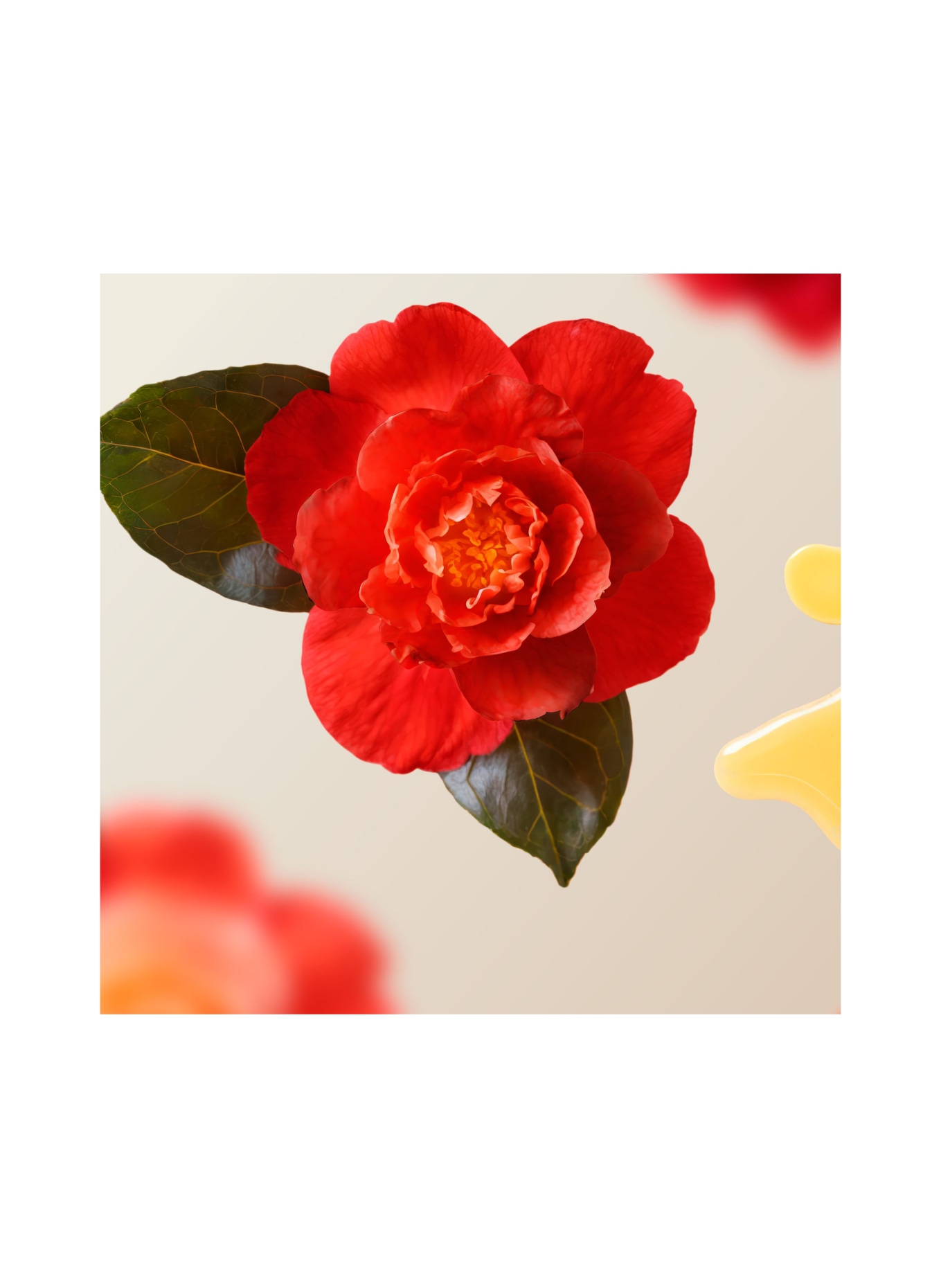 RITUALS HUILE CAPILLAIRE INTENSE