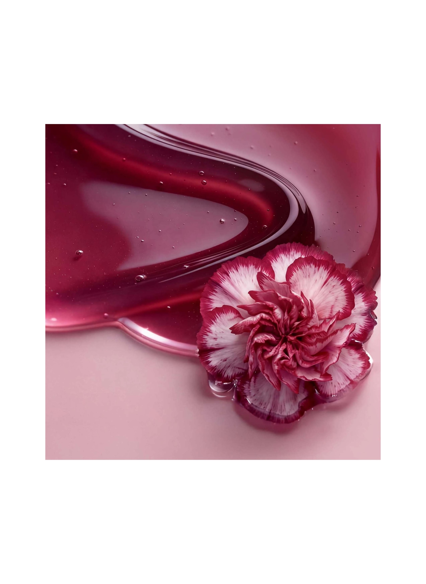 ANNEMARIE BÖRLIND LIP OIL: WILD FUCHSIA