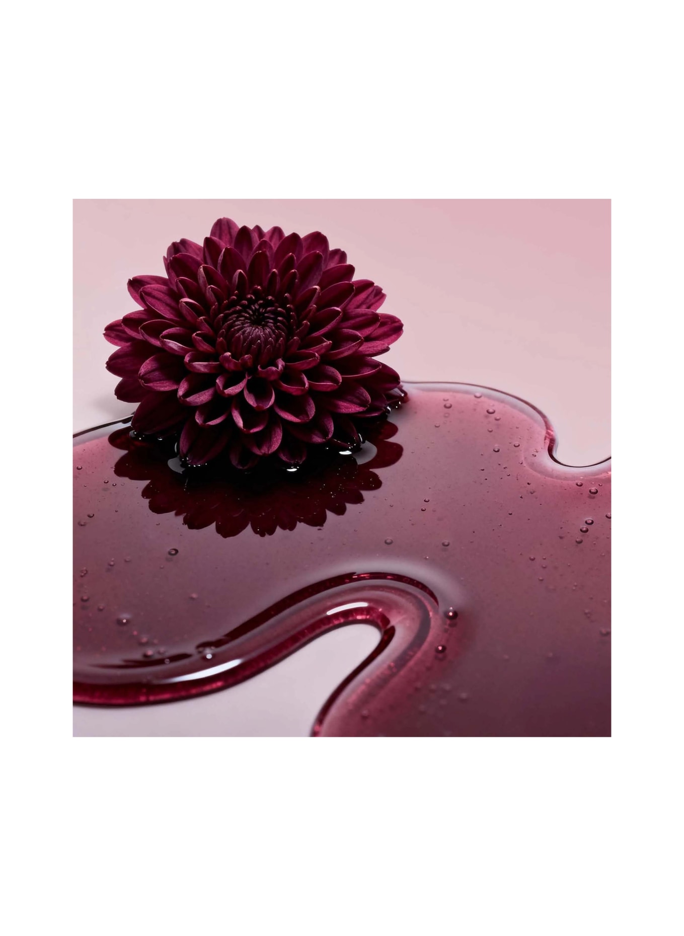 ANNEMARIE BÖRLIND LIP OIL: MIDNIGHT DAHLIA