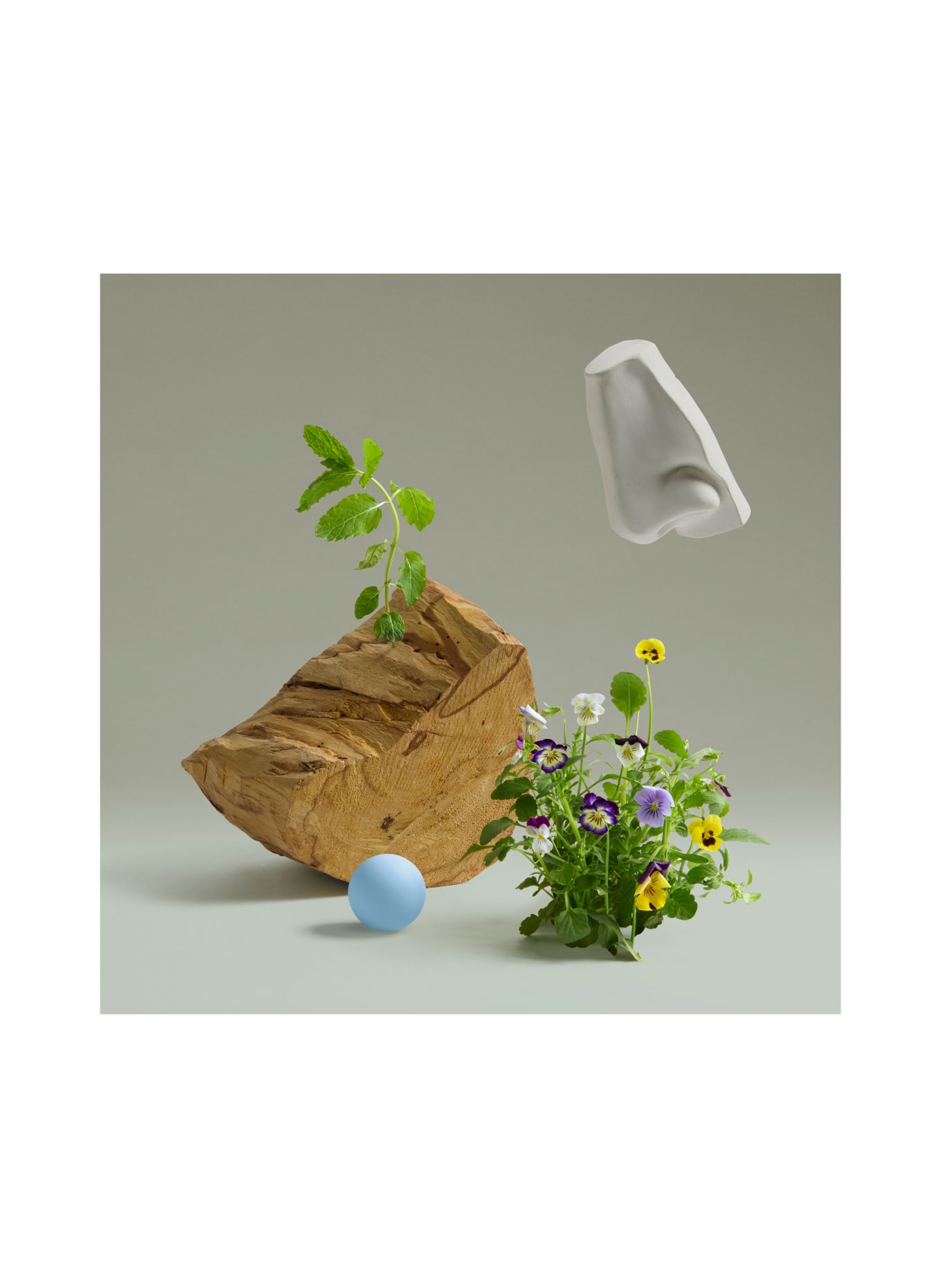 PENHALIGON'S BOLD BLEND