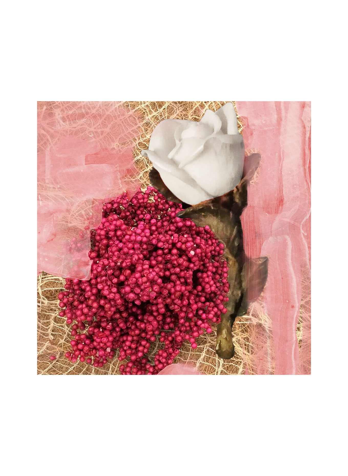 BYREDO ROSE OF NO MAN'S LAND