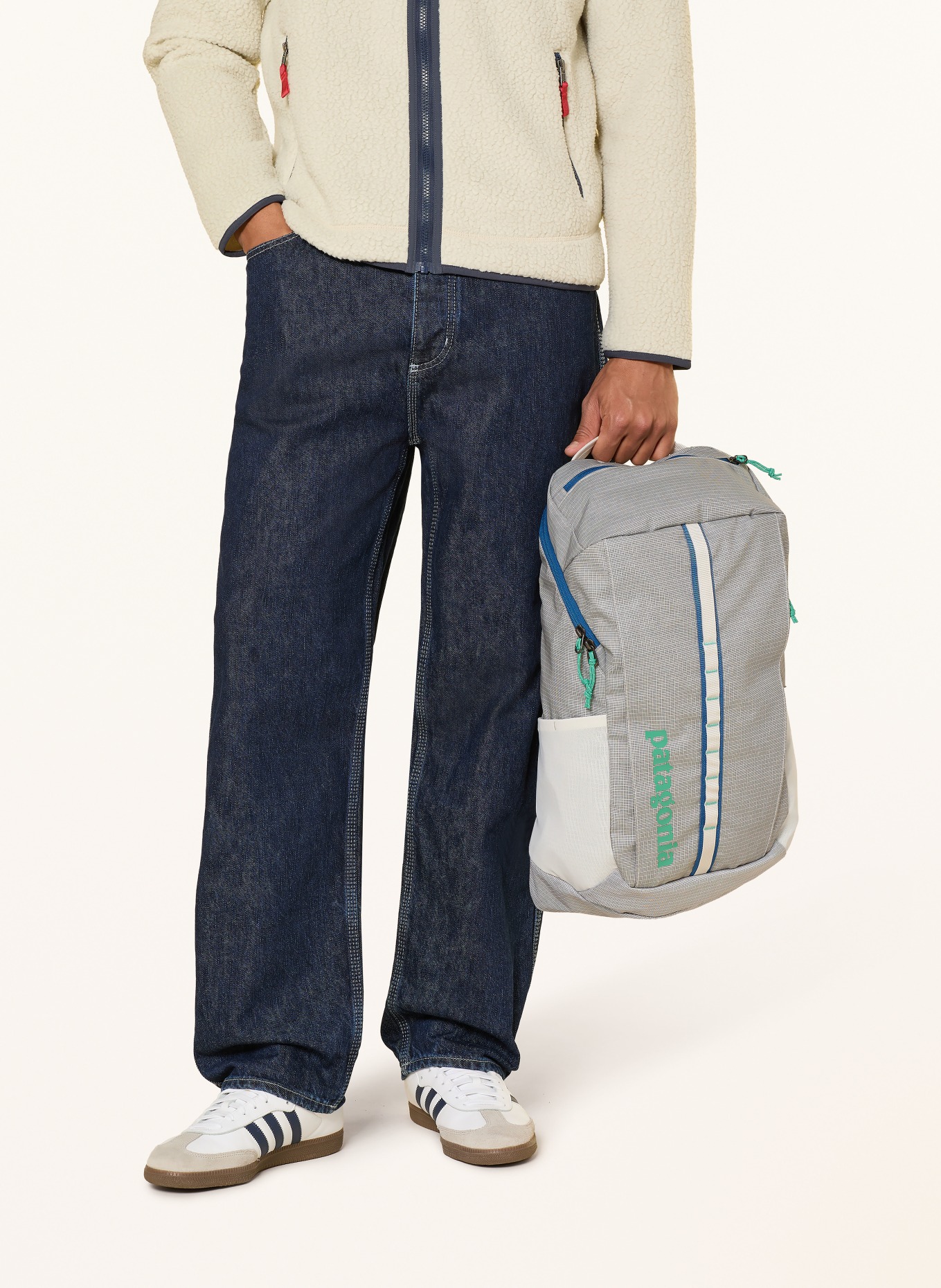 patagonia Backpack BLACK HOLE® 25 l with laptop compartment: CREAM / GREEN / BLUE