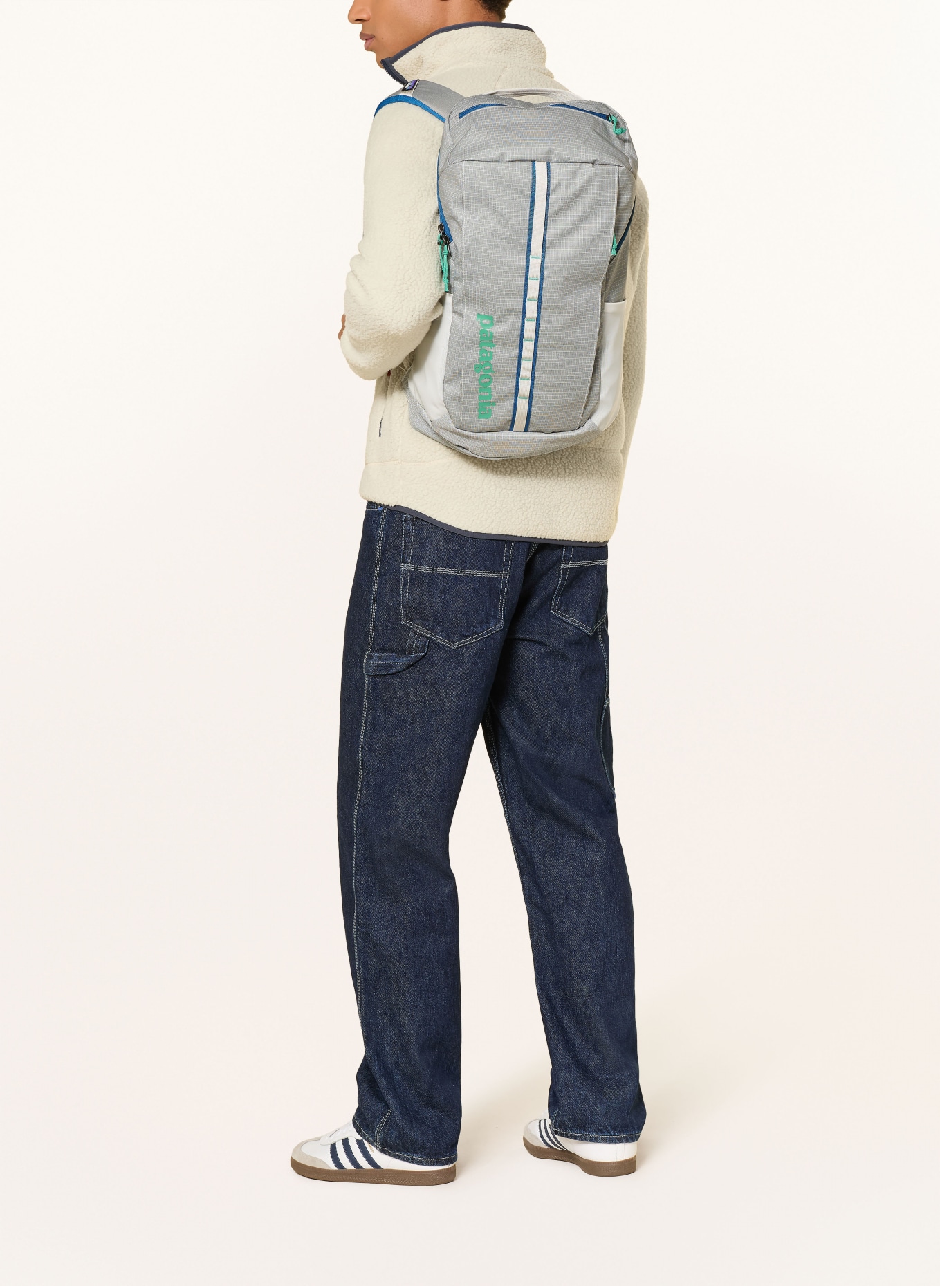 patagonia Backpack BLACK HOLE® 25 l with laptop compartment: CREAM / GREEN / BLUE