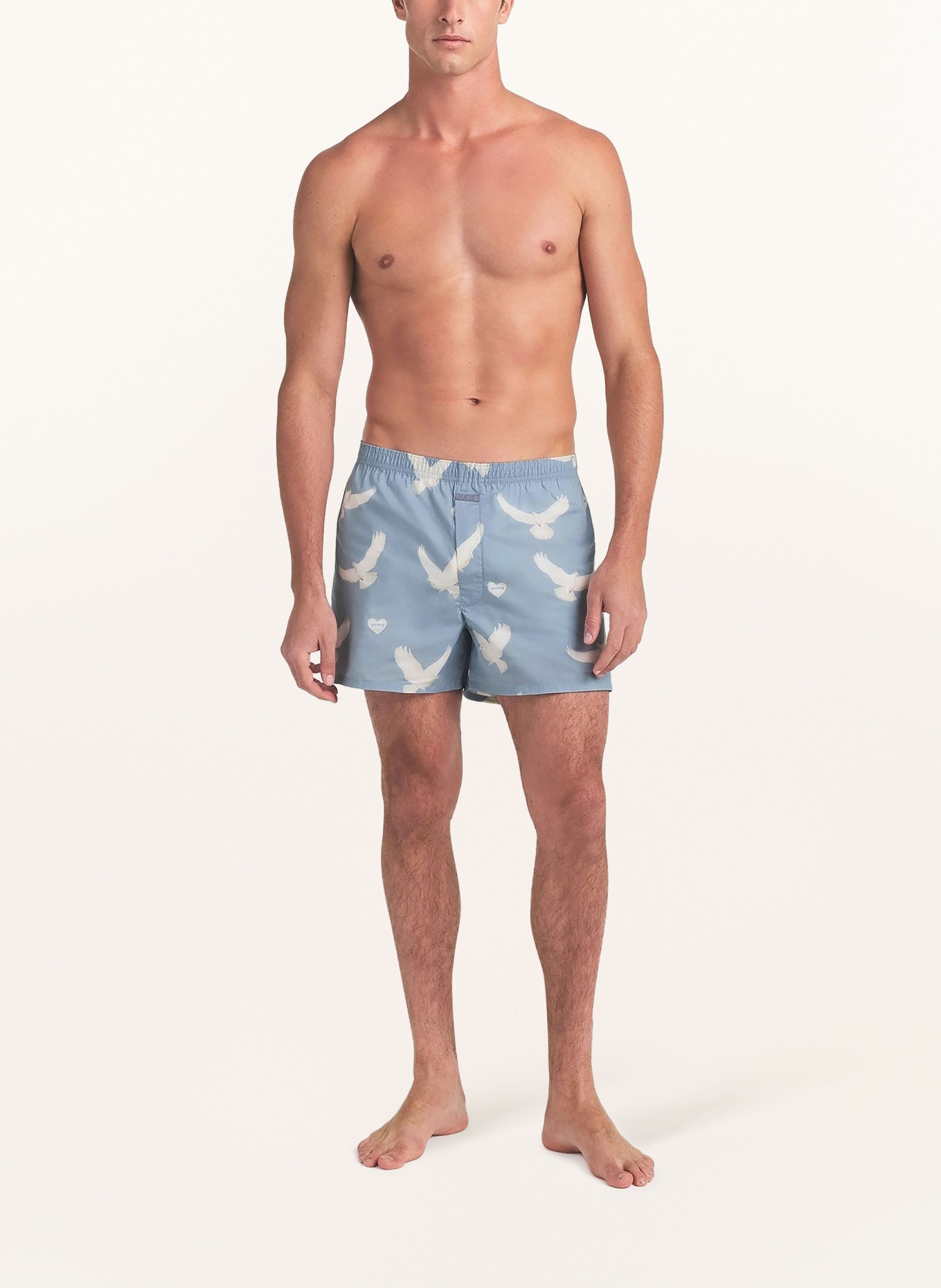 SKIMS Boxershorts COTTON POPLIN: AERO TEXTURED DOVE P