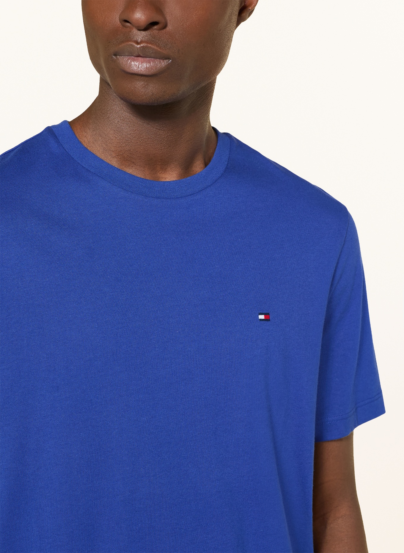 TOMMY HILFIGER T-Shirt: BLAU