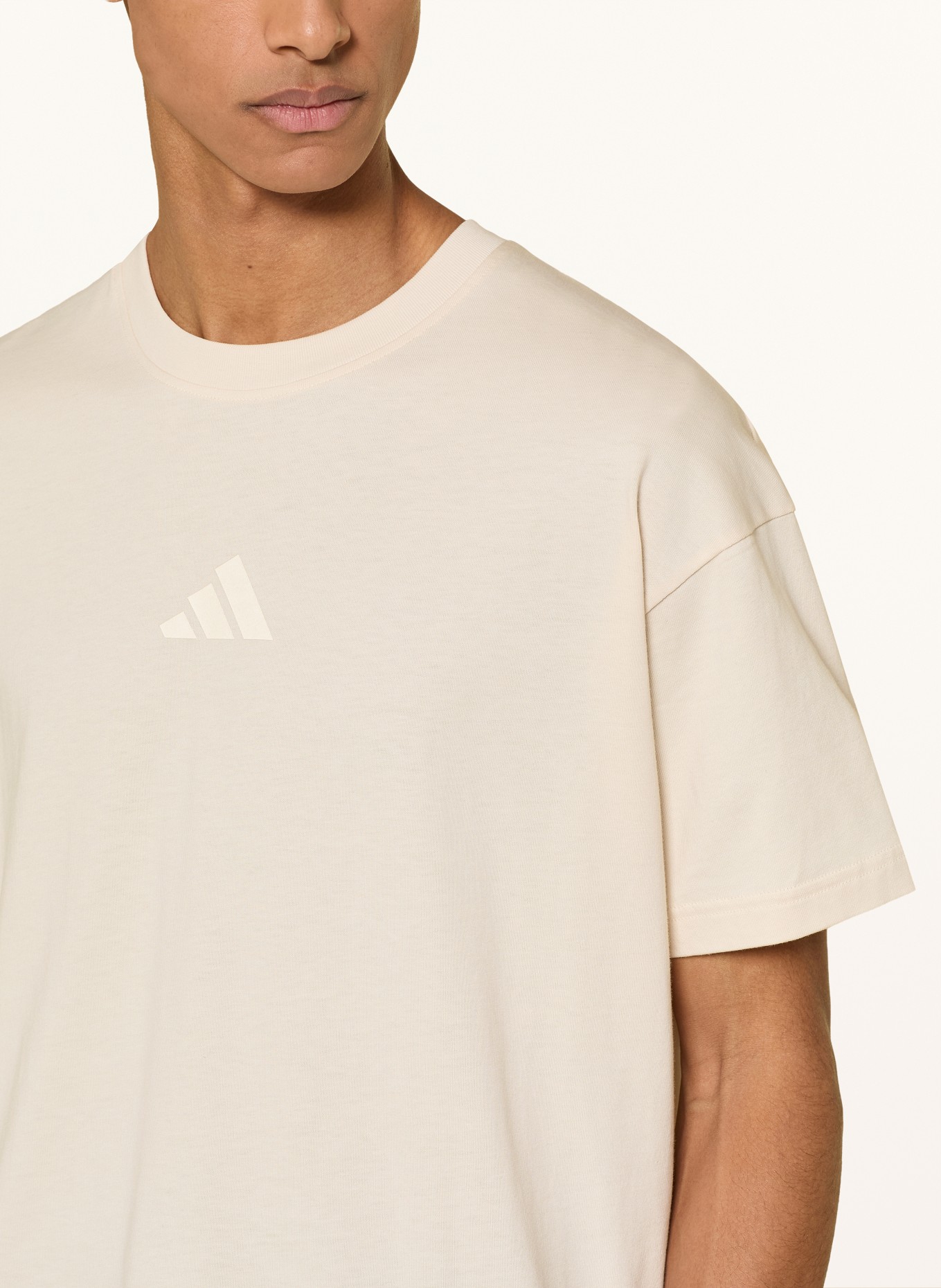 adidas TERREX T-shirt TERREX MULTI TEE MEADOW PACK: BEIGE