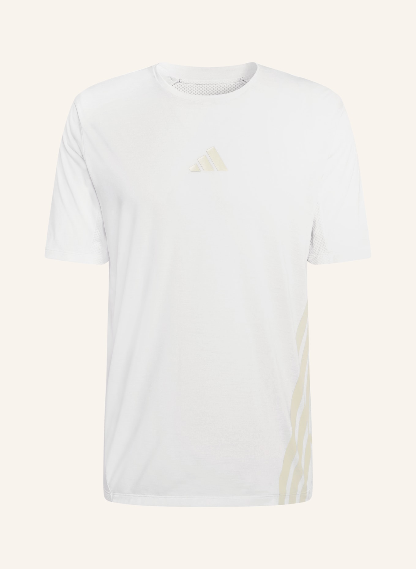 adidas TERREX TERREX XPERIOR CLIMACOOL+ T-shirt: WHITE