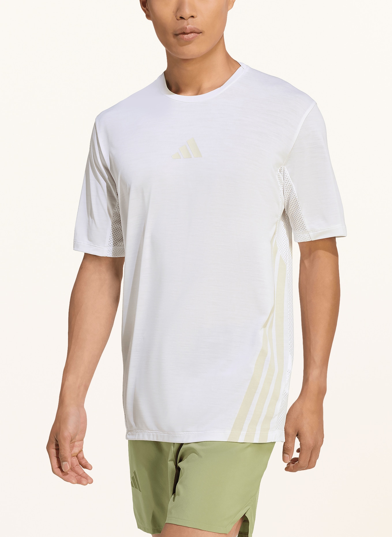 adidas TERREX TERREX XPERIOR CLIMACOOL+ T-shirt: WHITE