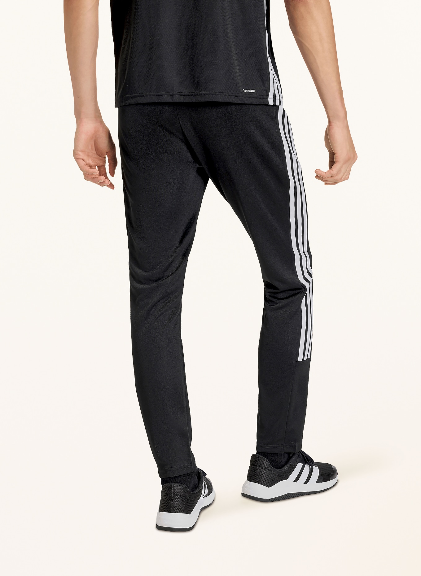 adidas WORKOUT ESSENTIALS ALL-SET 3-STRIPES Training Pants: BLACK