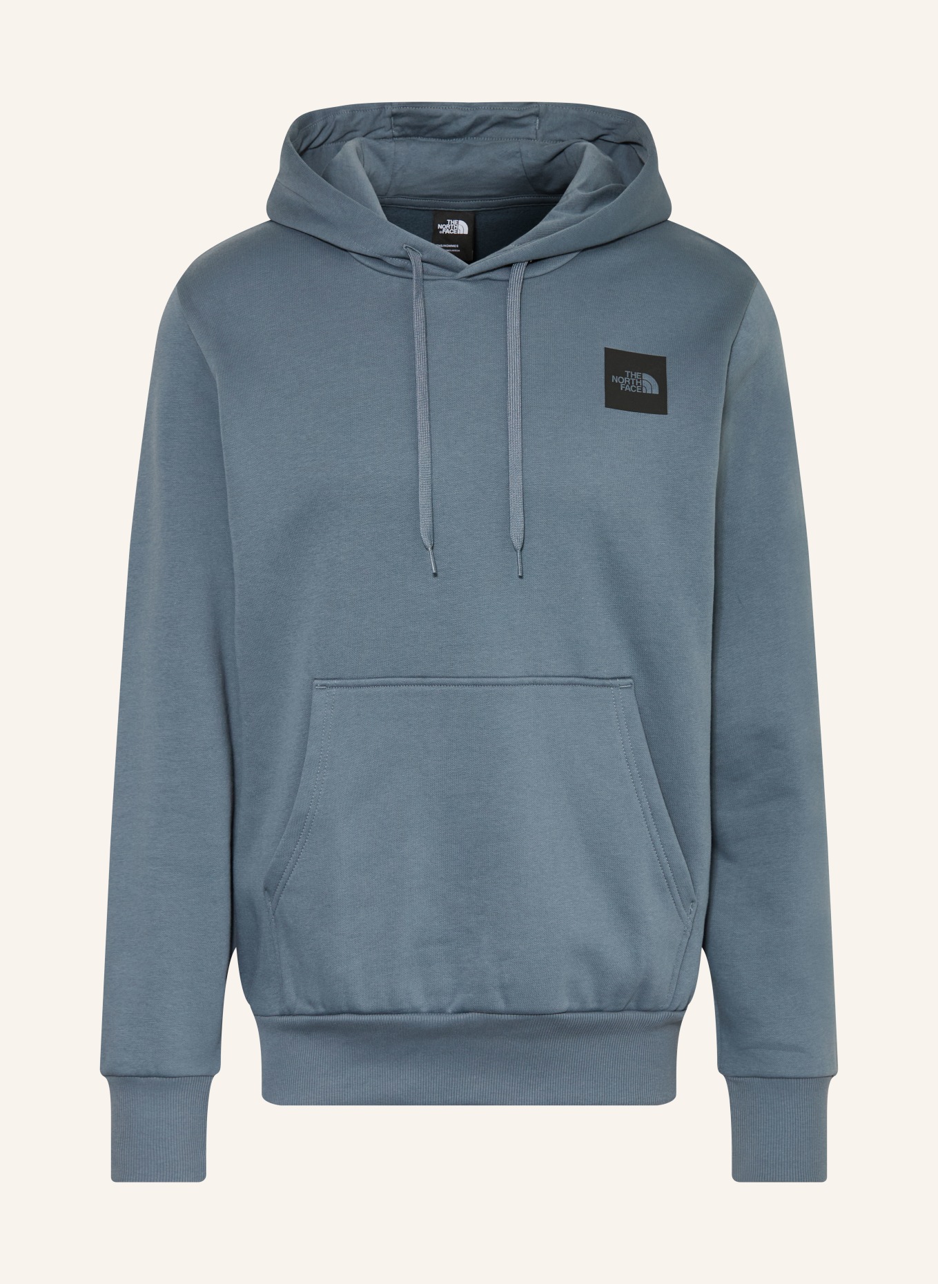 THE NORTH FACE EVOLUTION BOX HALF DOME Hoodie: BLUE GRAY