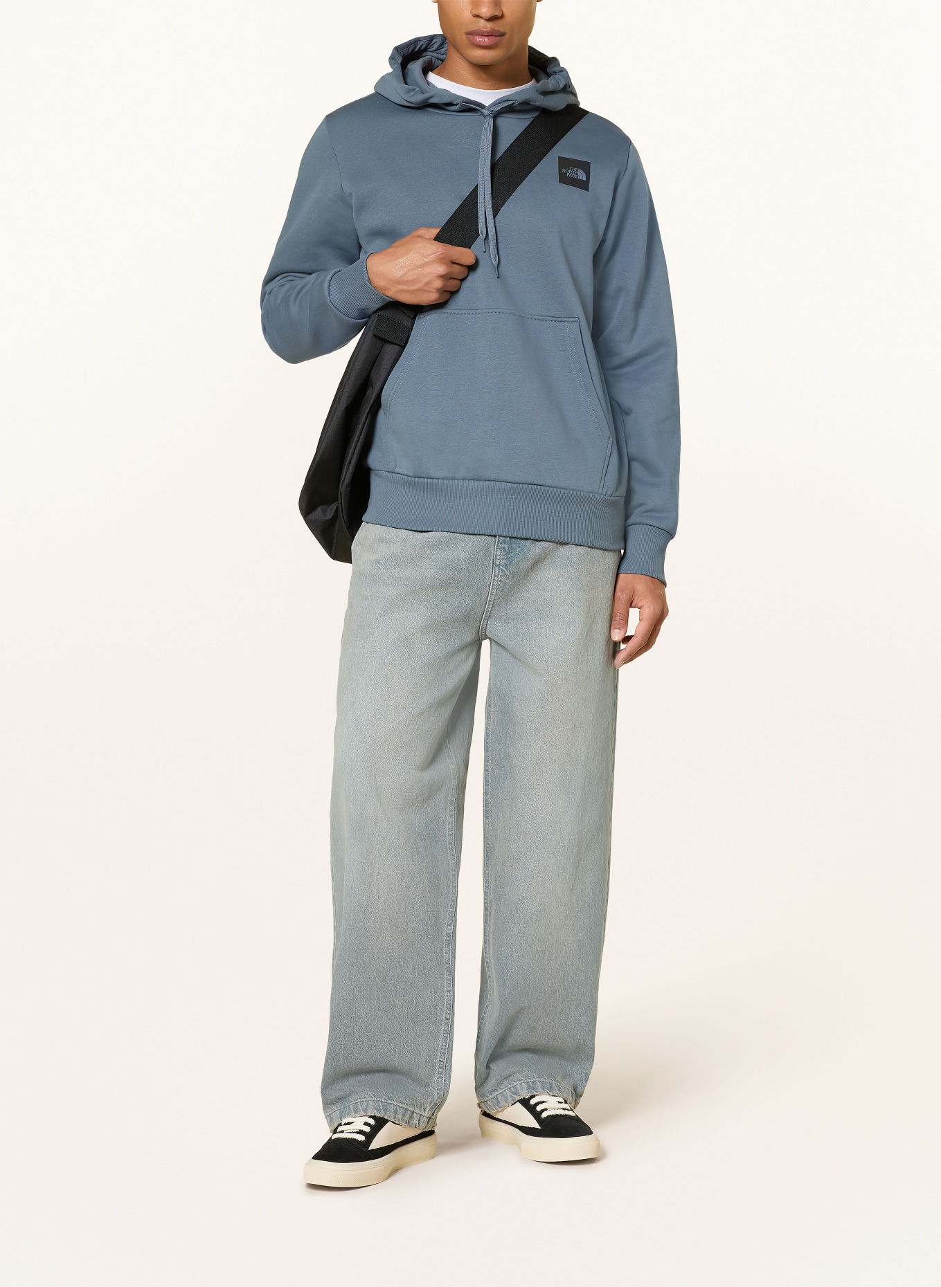 THE NORTH FACE EVOLUTION BOX HALF DOME Hoodie: BLUE GRAY